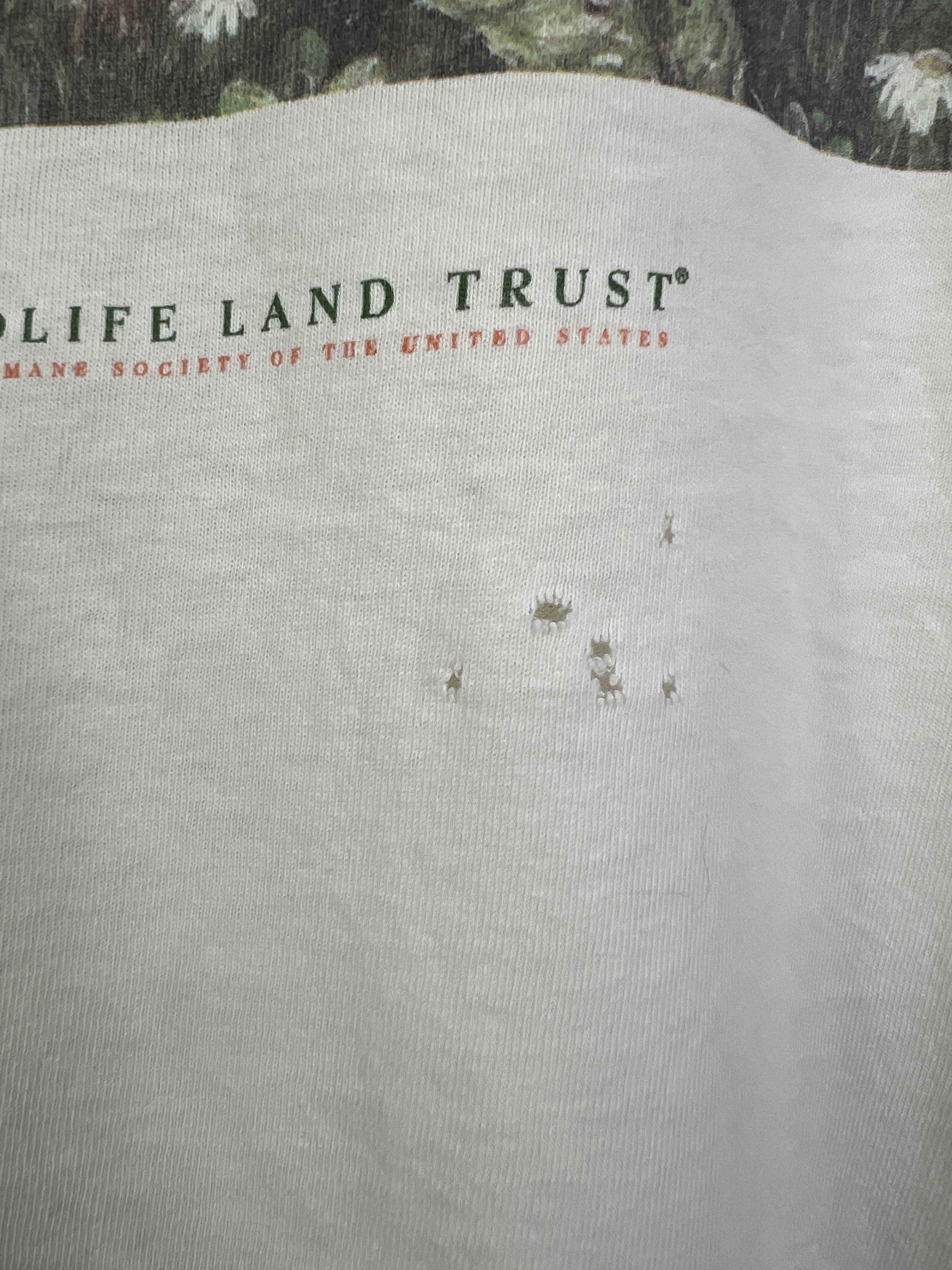 Vintage No.4946 Vintage Wildlife Land Trust Promo Graphic Tee Size US L / EU 52-54 / 3 - 5 Thumbnail