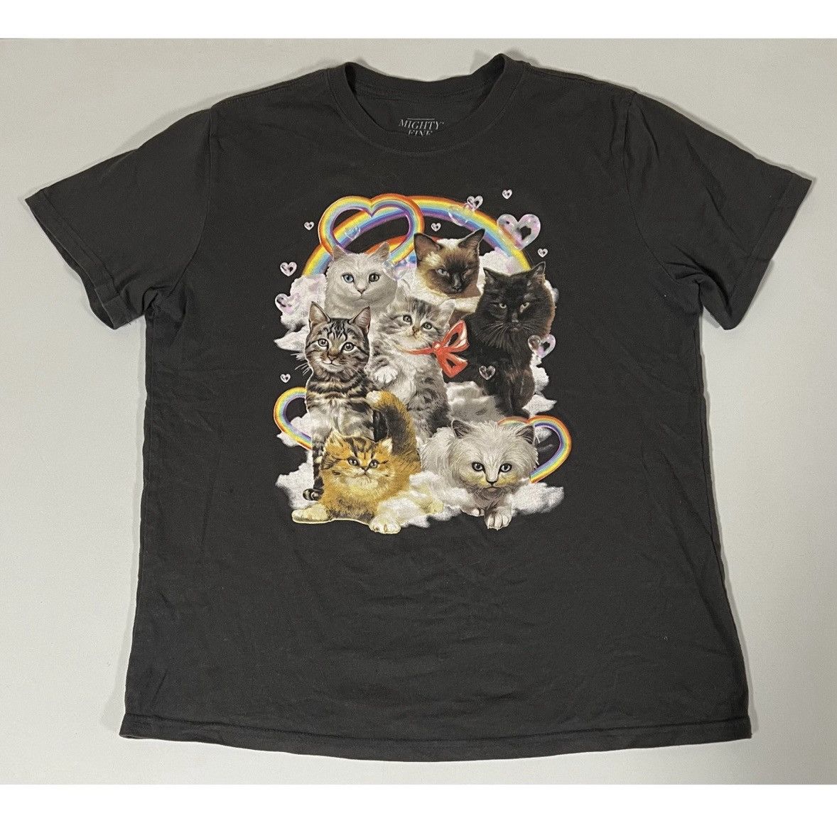 Mighty Healthy Mighty Fine Gray Cats Rainbow Graphic T-Shirt Tee Size S 🐈✨ Size US S / EU 44-46 / 1 - 1 Thumbnail