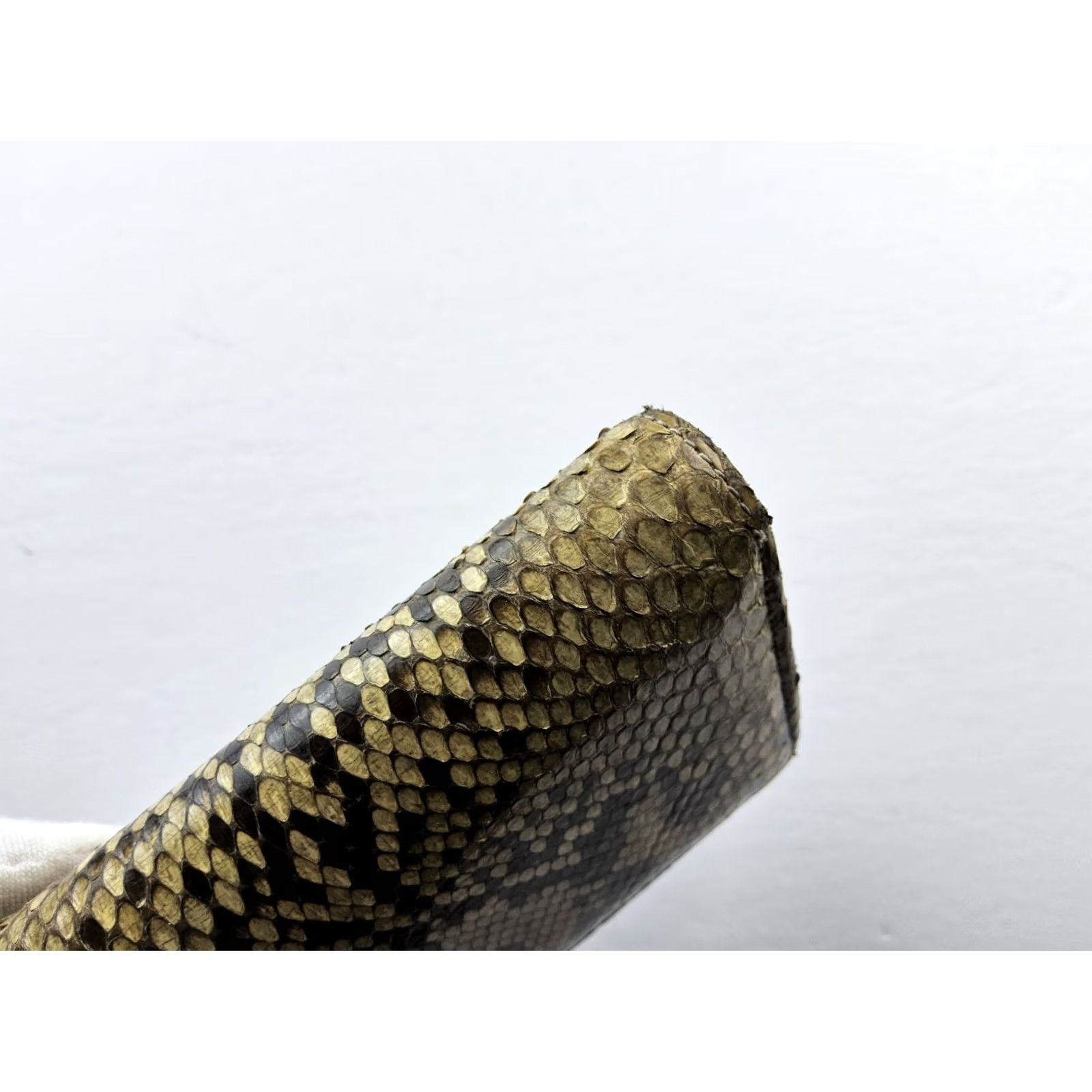 Skin 49AV Junko Shimada Snake Skin Bifold Wallet Multicolor Women Size ONE SIZE - 5 Thumbnail