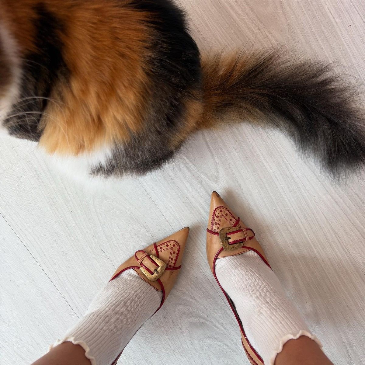 Le Silla Le Silla heels Size US 6 / IT 36 - 4 Thumbnail