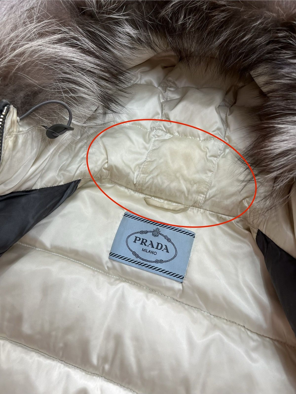Prada Prada Down Jacket Fur Hood Puffer Coat Size 38 Coat Size S / US 4 / IT 40 - 11 Thumbnail