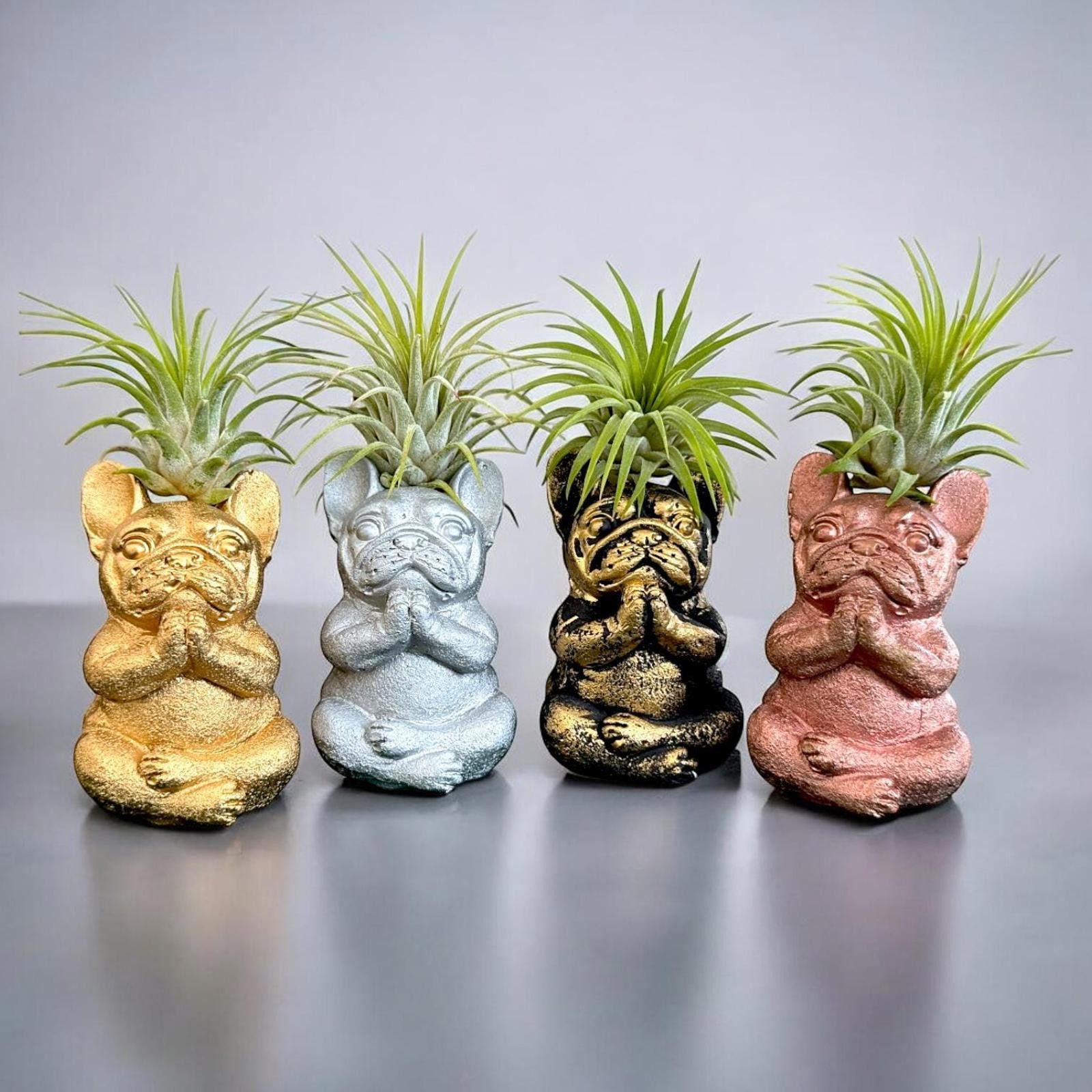 Other Lucky Cat Tillandsia Planter Pot, Golden Zen Decor Air Plant Size ONE SIZE - 7 Thumbnail