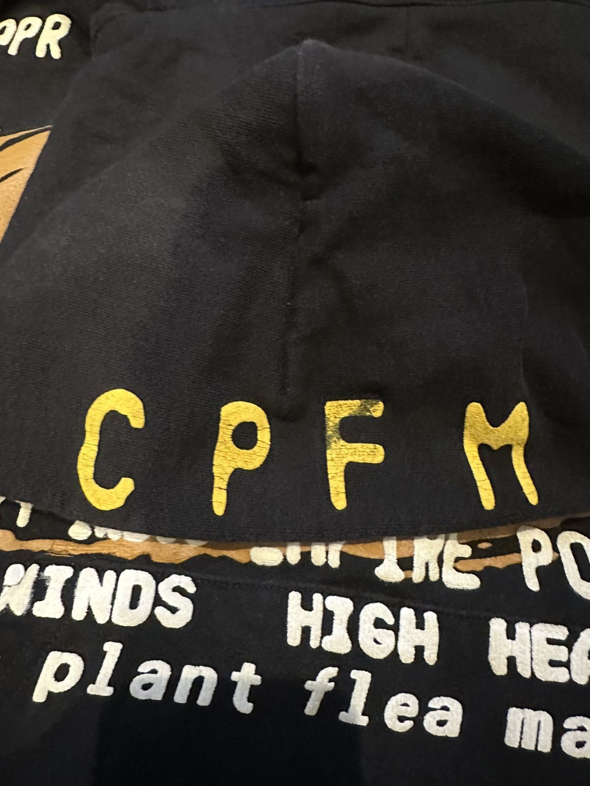 Cactus Plant Flea Market × Coachella Cactus Plant Flea Market Coachella Hoodie Size US L / EU 52-54 / 3 - 7 Thumbnail