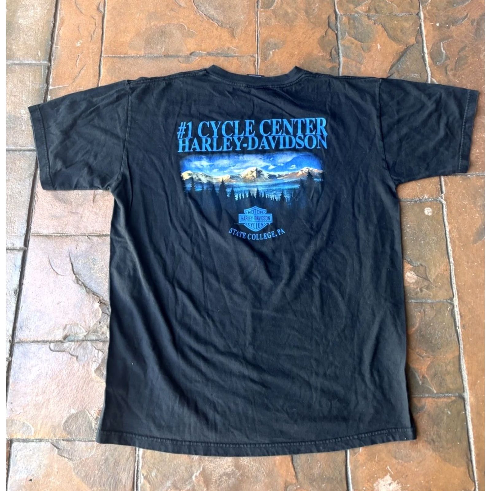 Harley Davidson VINTAGE Harley-Davidson Eagle State College T-Shirt XL Biker USA Shirt Mens Black Cotton Crew Neck Short Sleeve Logo 90s Retro Western Size US XL / EU 56 / 4 - 3 Thumbnail