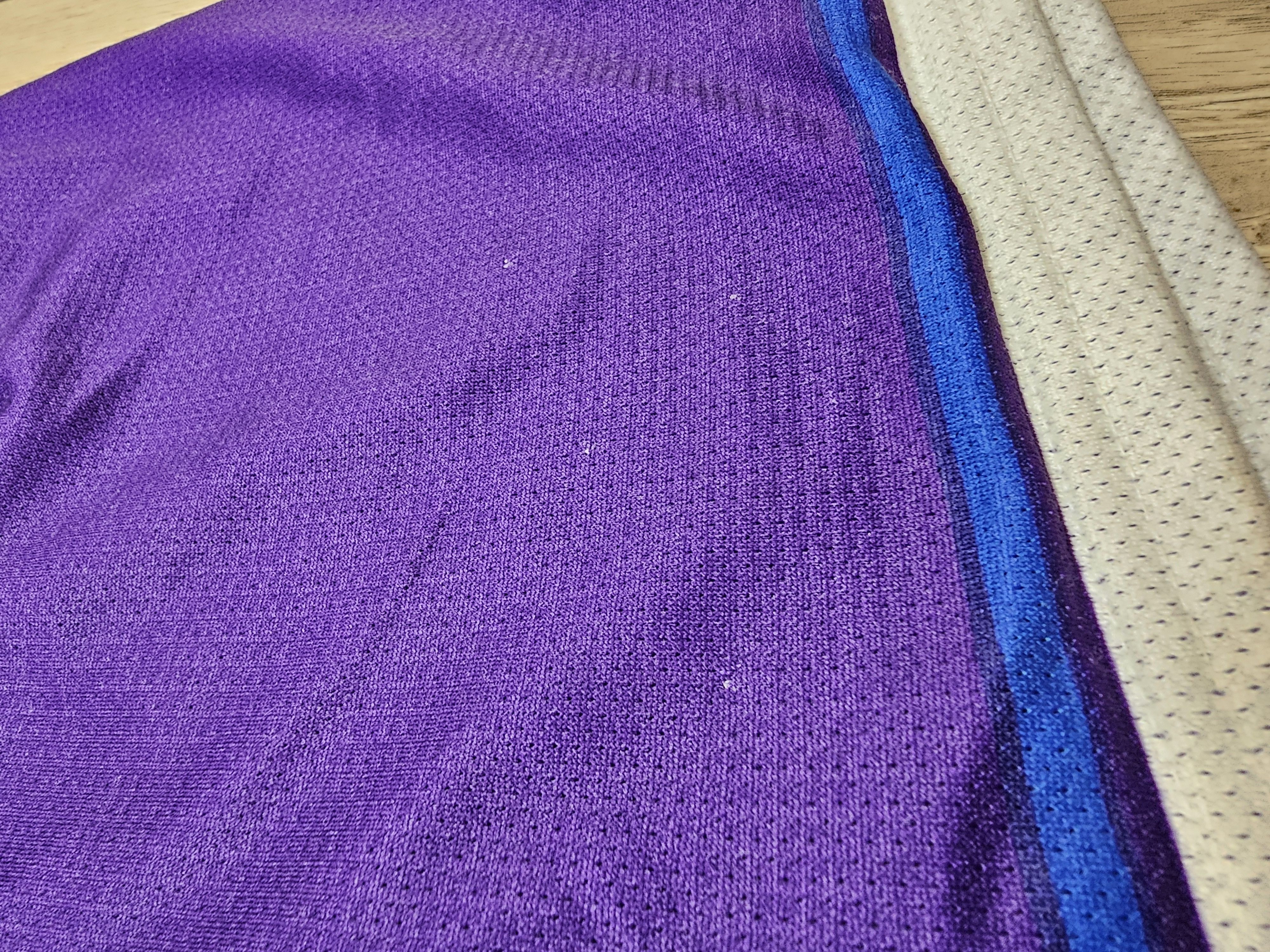 Champion CHARLOTTE HORNETS SHORTS CHAMPION 1994 BASKETBALL SHORTS NBA Size US 36 / EU 52 - 6 Thumbnail