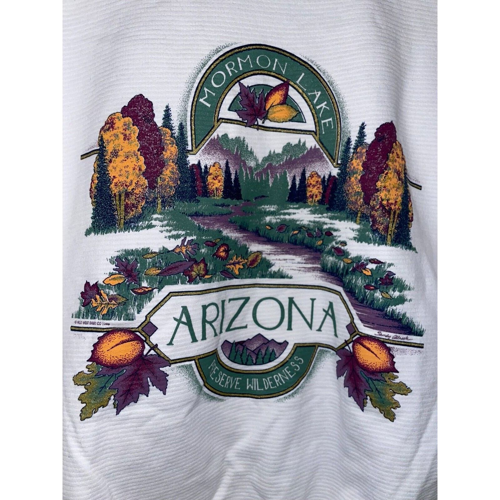 Jerzees Vintage Arizona Sweatshirt Mormon Lake Wilderness VTG 90s L Size US L / EU 52-54 / 3 - 5 Thumbnail