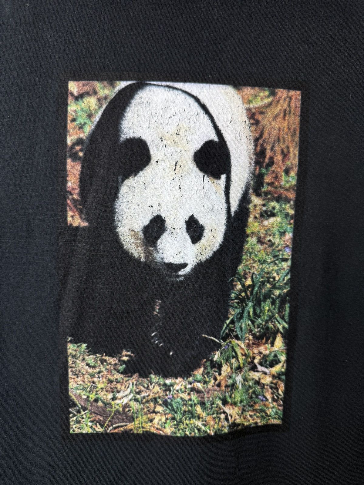 Other Vintage 00’s Panda Art T Shirt By Hanes USA Animals Size US L / EU 52-54 / 3 - 2 Thumbnail