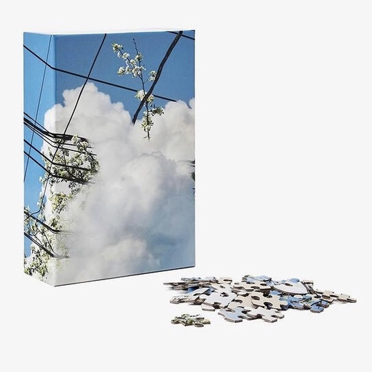 Other "Spring" AreaWare Tiny Cactus (KangHee Kim) Puzzle in Puzzle Size ONE SIZE - 1 Thumbnail