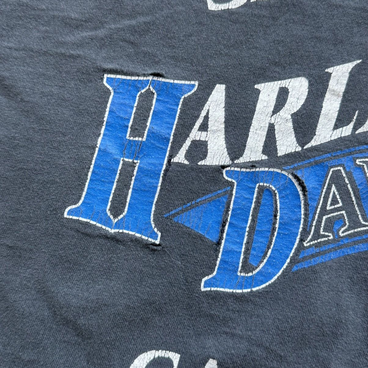 Harley Davidson vintage harley davidson evolution revolution lightning tee Size US L / EU 52-54 / 3 - 8 Thumbnail