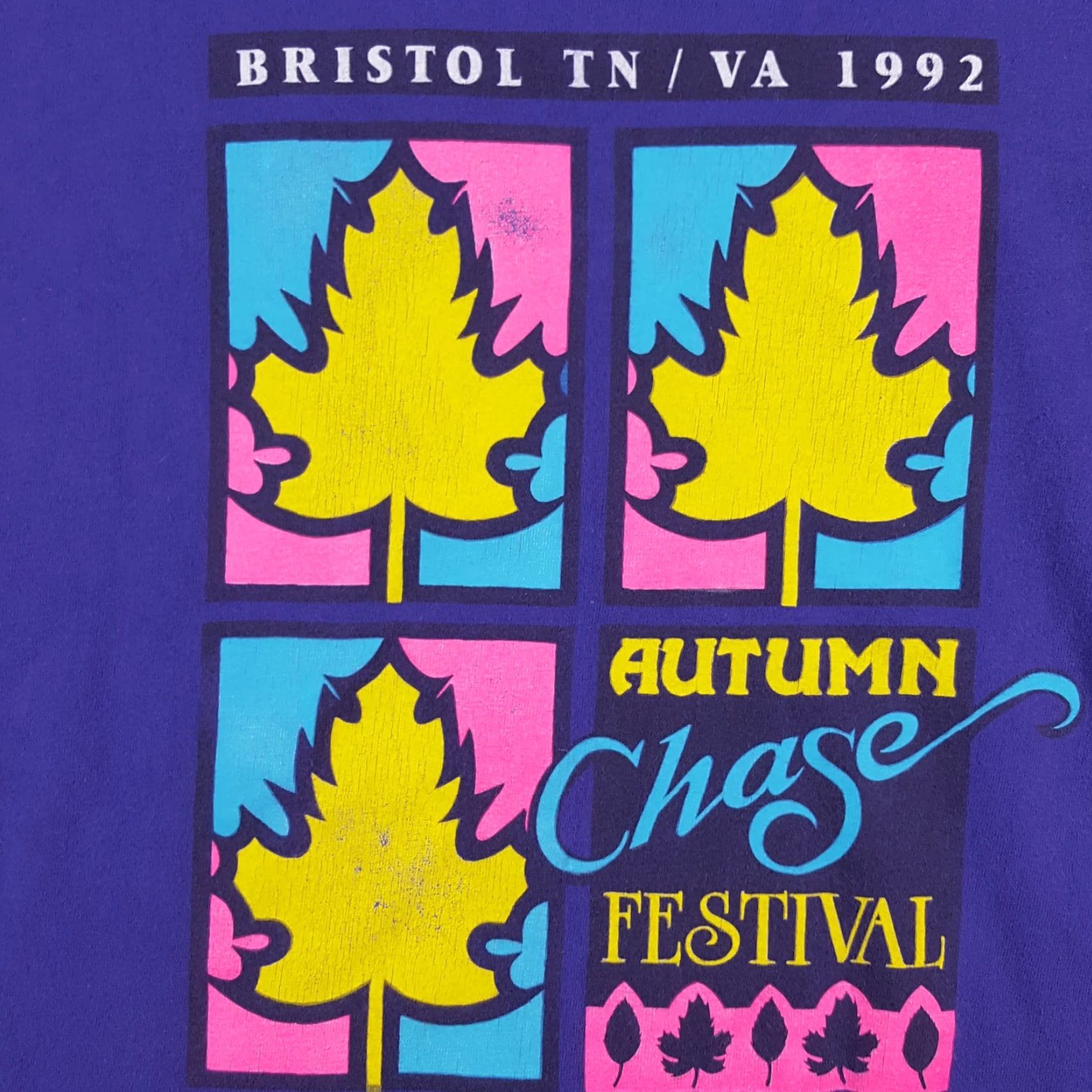 Hanes Vintage Hanes 90s T-Shirt Men XL Autumn Festival Nature Cotton Purple Y2K Vintage Outdoor Market Size US XL / EU 56 / 4 - 3 Thumbnail