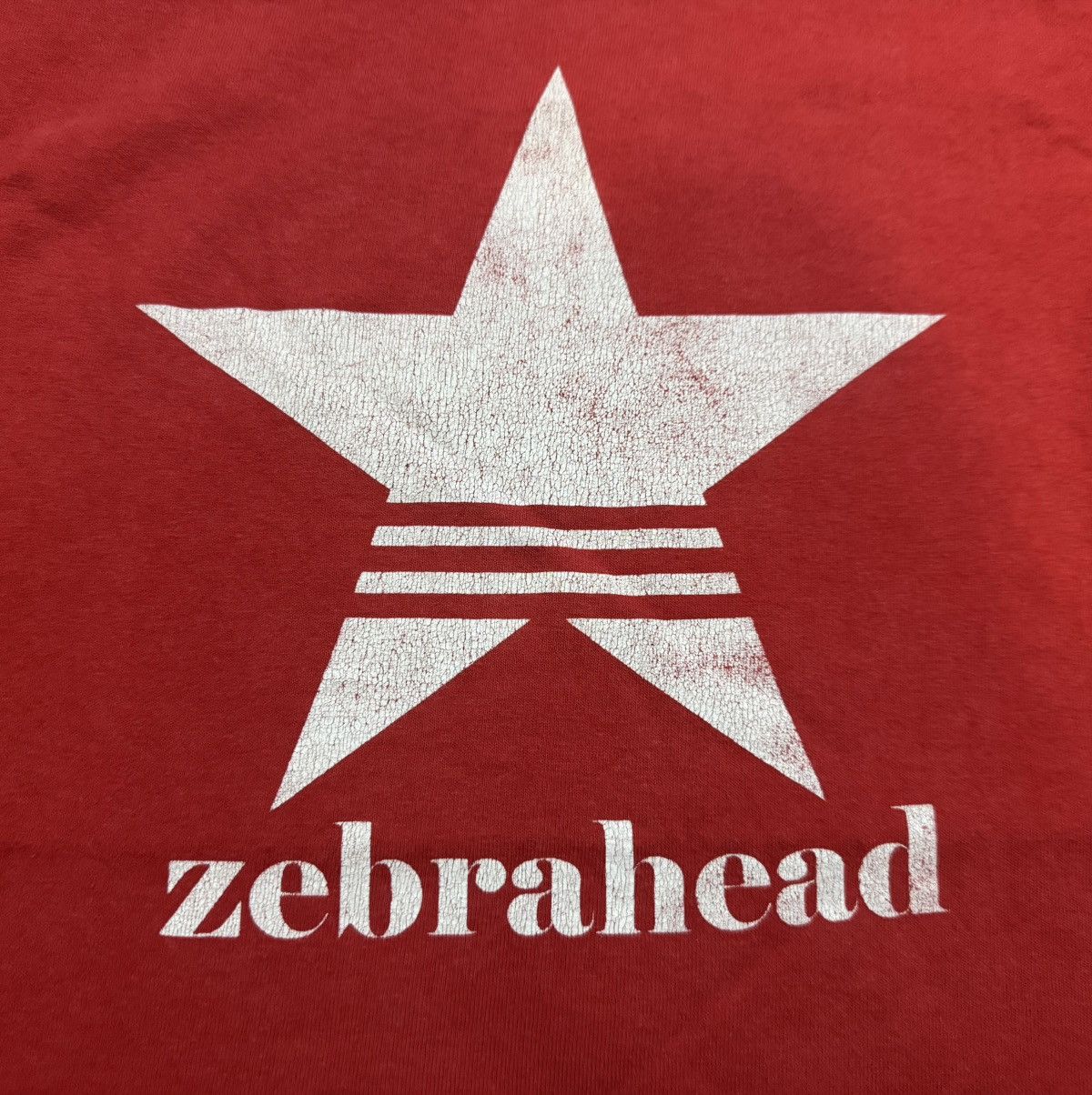 Band Tees Vintage Zebrahead Band T-Shirt Size US XL / EU 56 / 4 - 4 Thumbnail