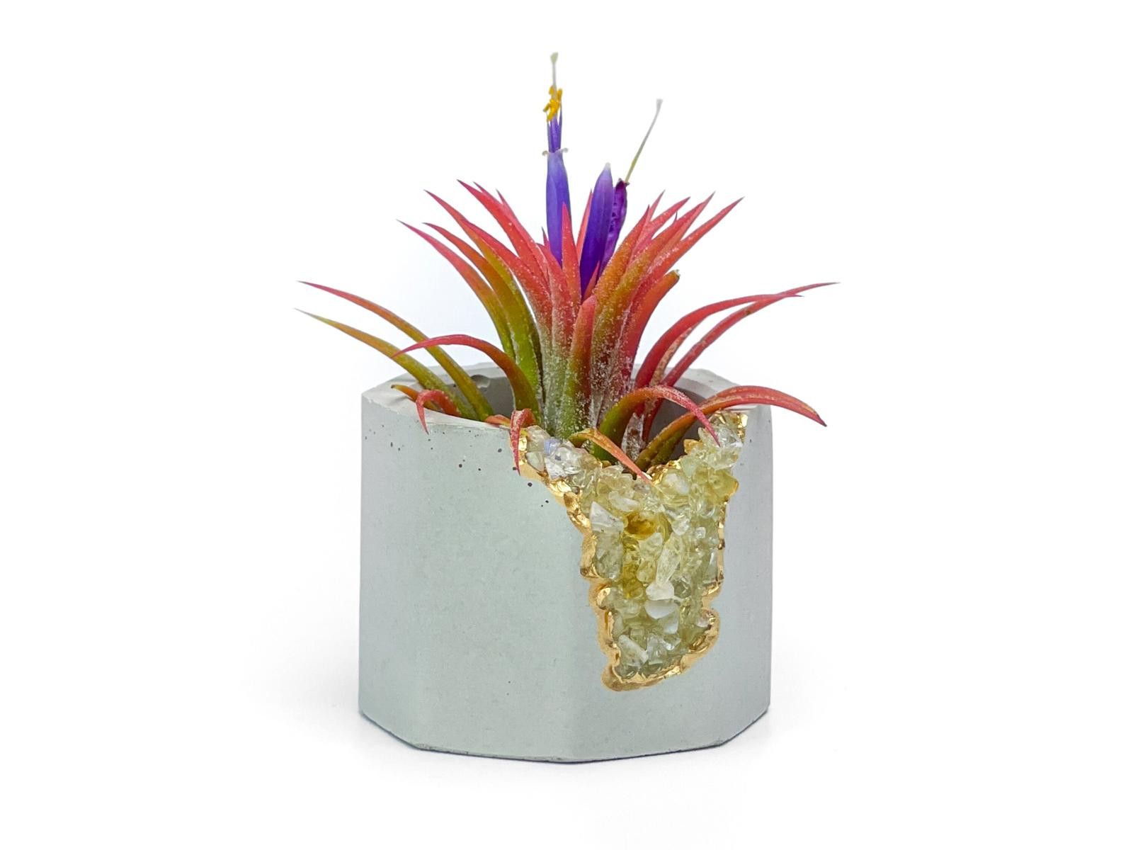 Other Geode Plant Holder Tumbled Citrine Stone Pot Air Plant gift Size ONE SIZE - 5 Thumbnail