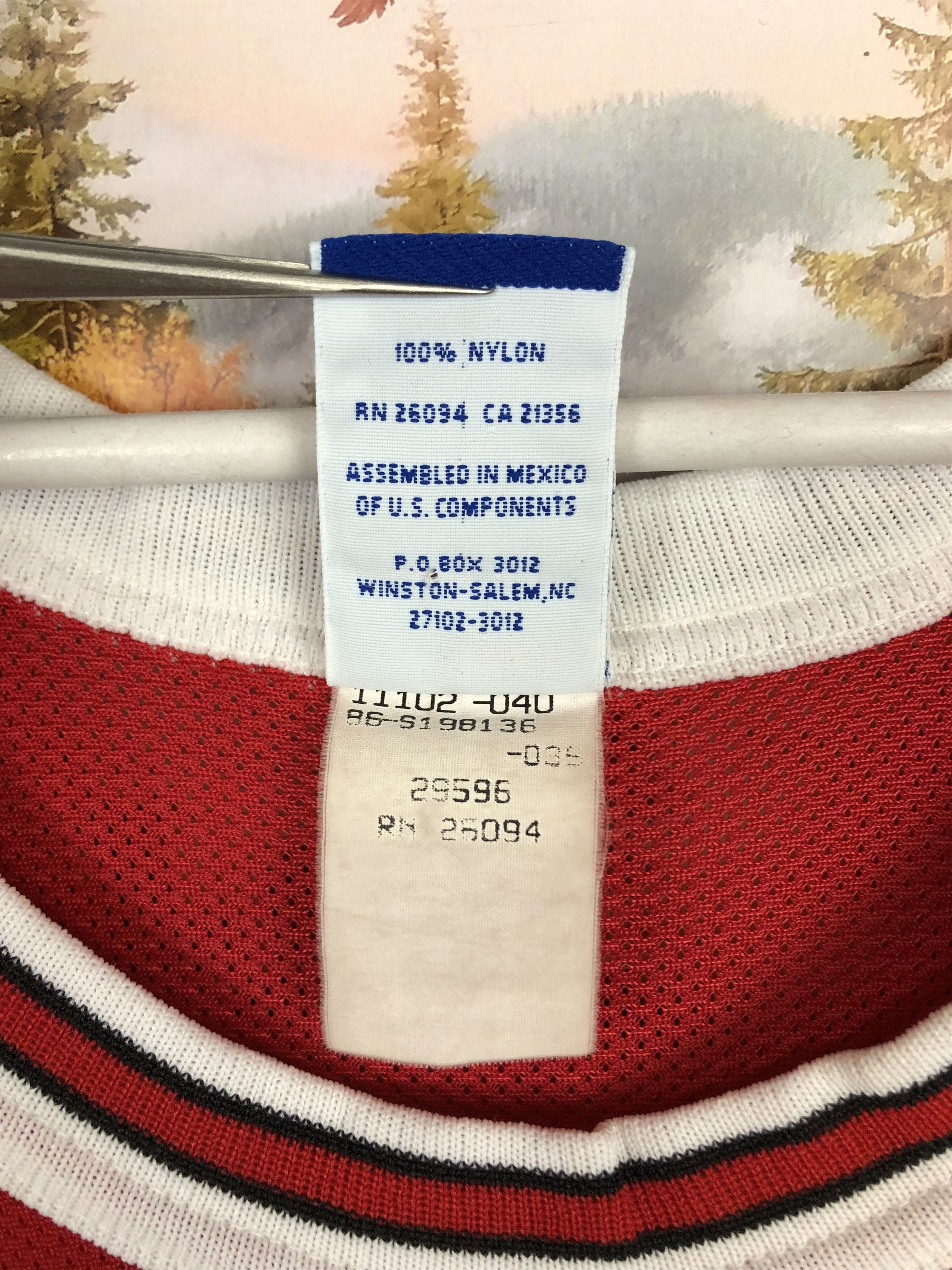 Champion Vintage Champion Dennis Rodman Chicago Bulls Jersey NBA Size US M / EU 48-50 / 2 - 6 Thumbnail