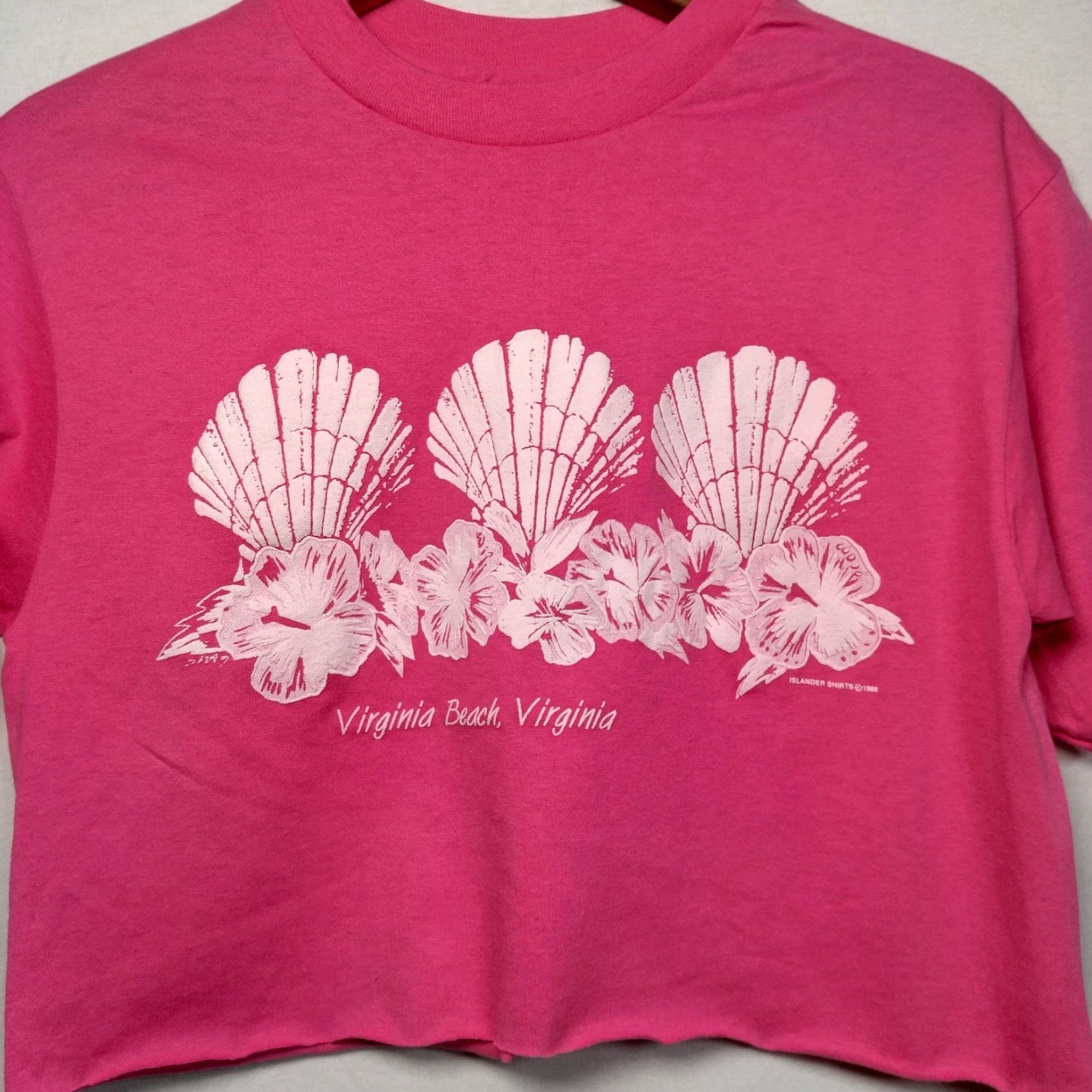 Hanes VINTAGE Hanes Cotton Blend Cropped T-Shirt Women M Pink Virginia Beach Beachy Seashell Graphic Short Sleeve Crew Neck Fall Spring Summer Size M / US 6-8 / IT 42-44 - 3 Thumbnail