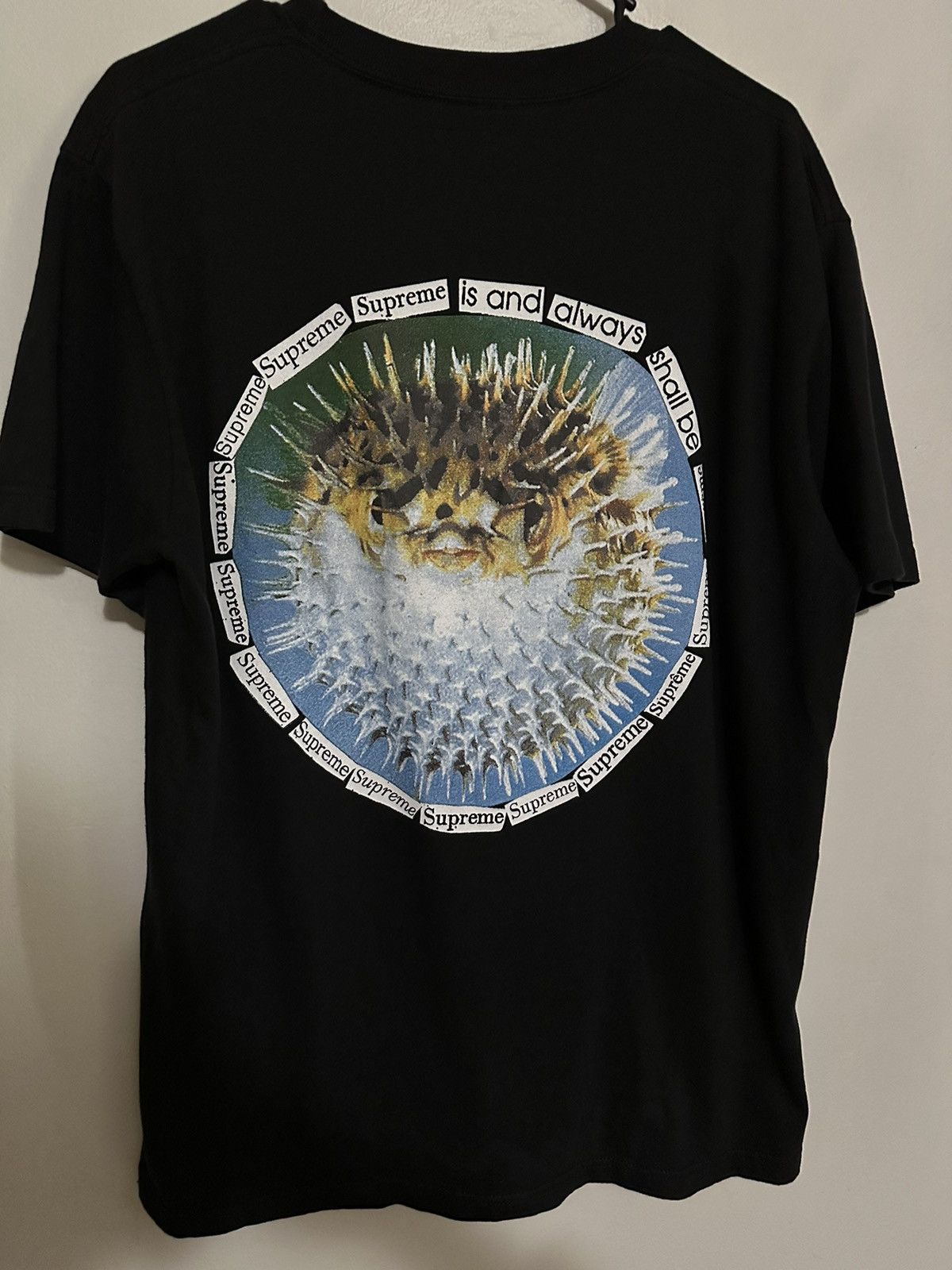 Supreme Supreme Blowfish Tee Size US M / EU 48-50 / 2 - 1 Thumbnail
