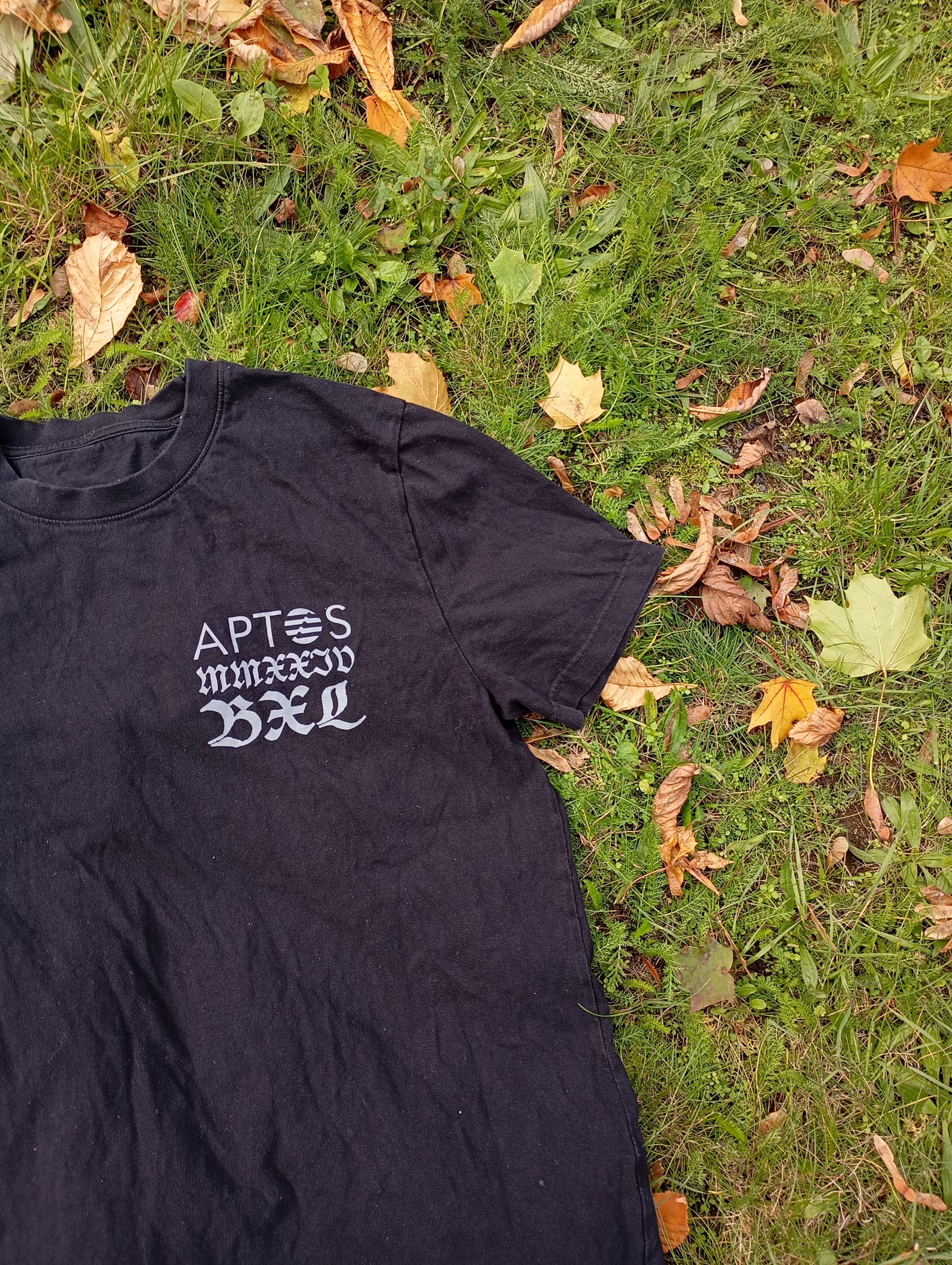Other Y2K Crypto Aptos big logo T shirt Size US L / EU 52-54 / 3 - 3 Thumbnail