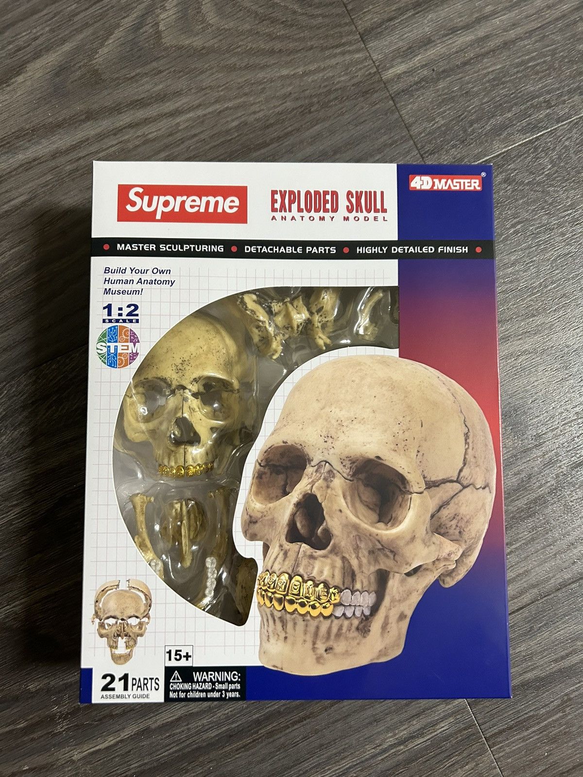 シュプリーム Supreme 4D Model Human Skull-