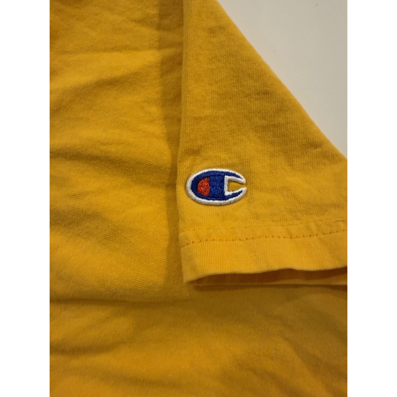 Champion Vintage Champion Shirt Mens XL West Virginia Mountaineers Size US XL / EU 56 / 4 - 4 Thumbnail