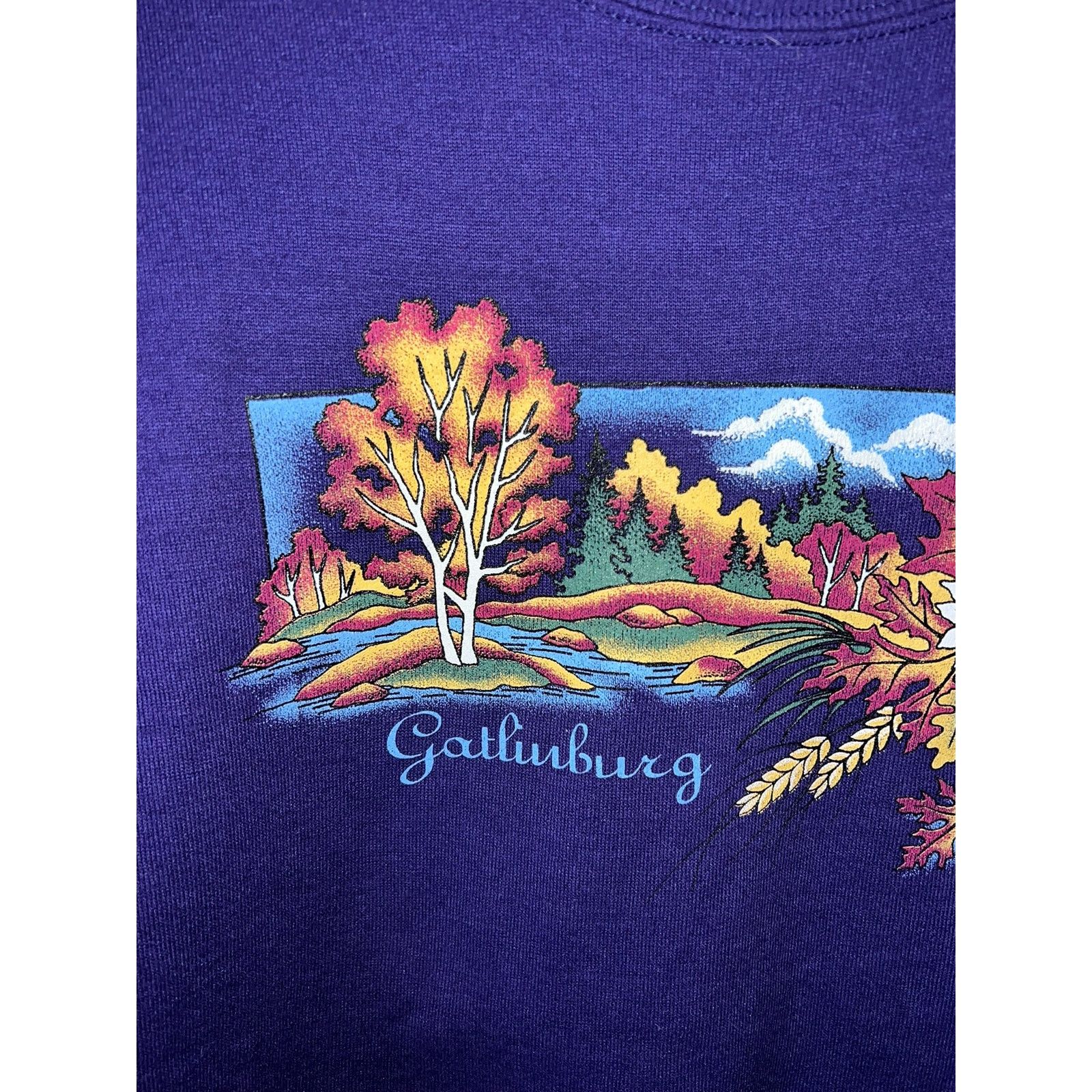 Jerzees Vintage Gatlinburg Sweatshirt TN Purple Crewneck VTG 90s L Size US L / EU 52-54 / 3 - 2 Thumbnail