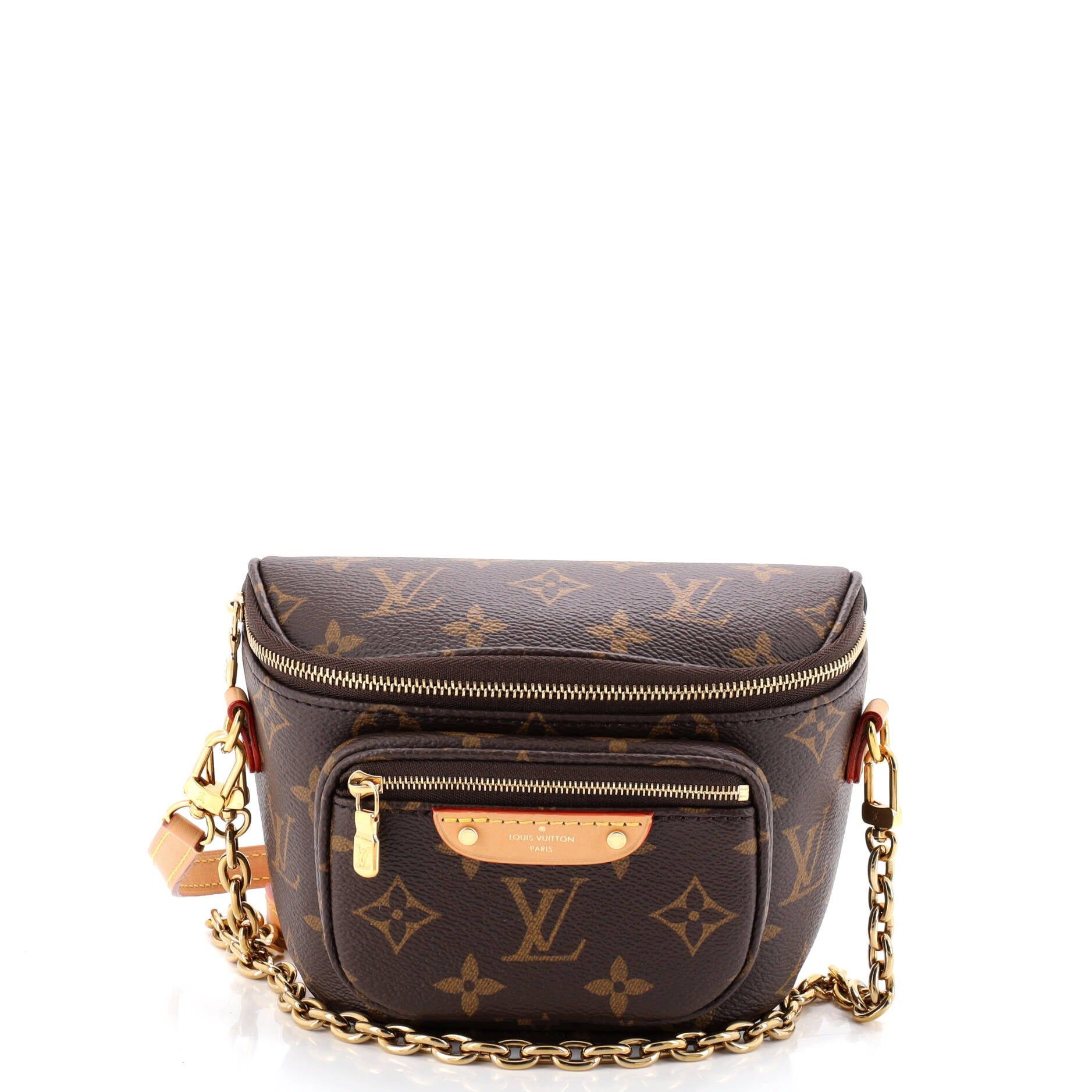 Louis Vuitton Bum Bag Size ONE SIZE - 1 Thumbnail