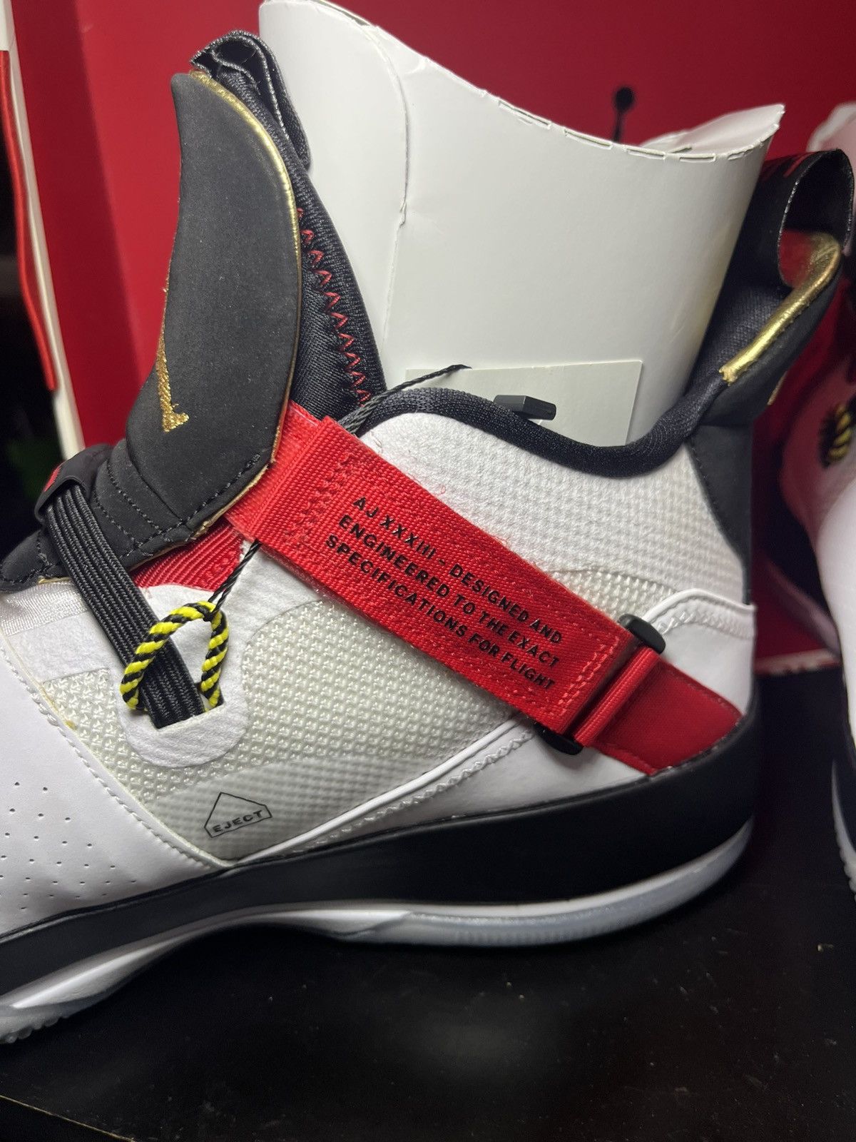 Jordan Brand Air Jordan XXXIII Future of Flight Size US 13 / EU 46 - 4 Thumbnail