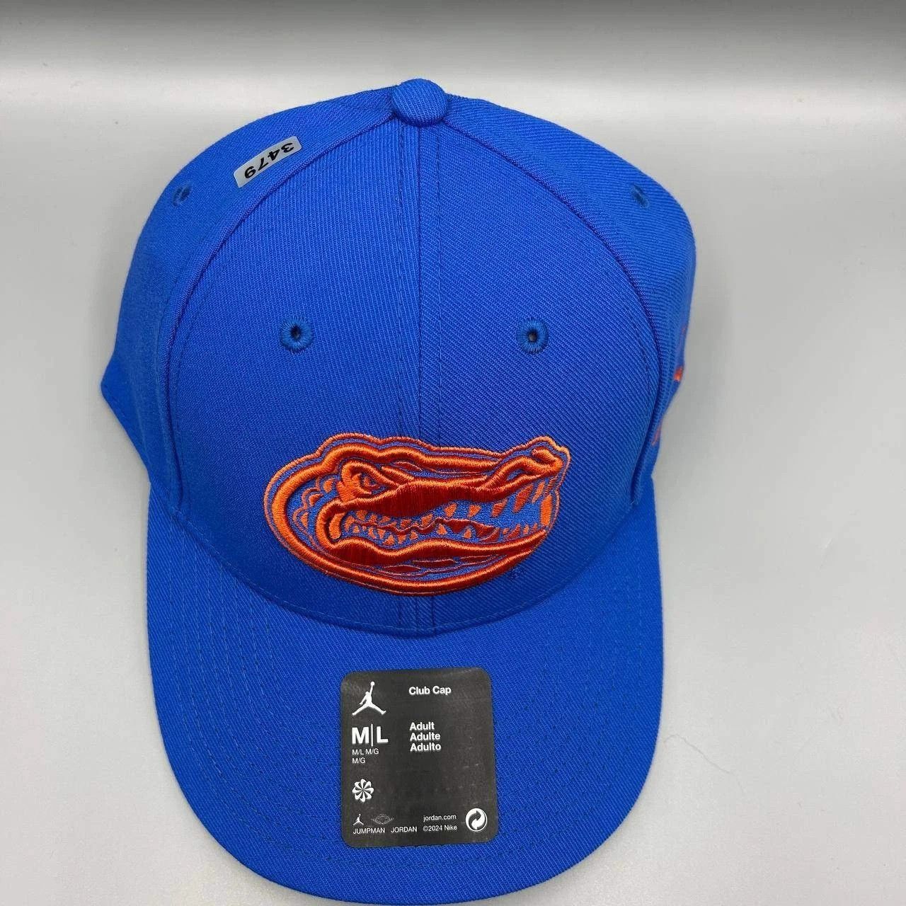 Jordan Brand Florida Gators x Air Jordan Club Hat M-L Dri-Fit Strap Back Size ONE SIZE - 8 Thumbnail