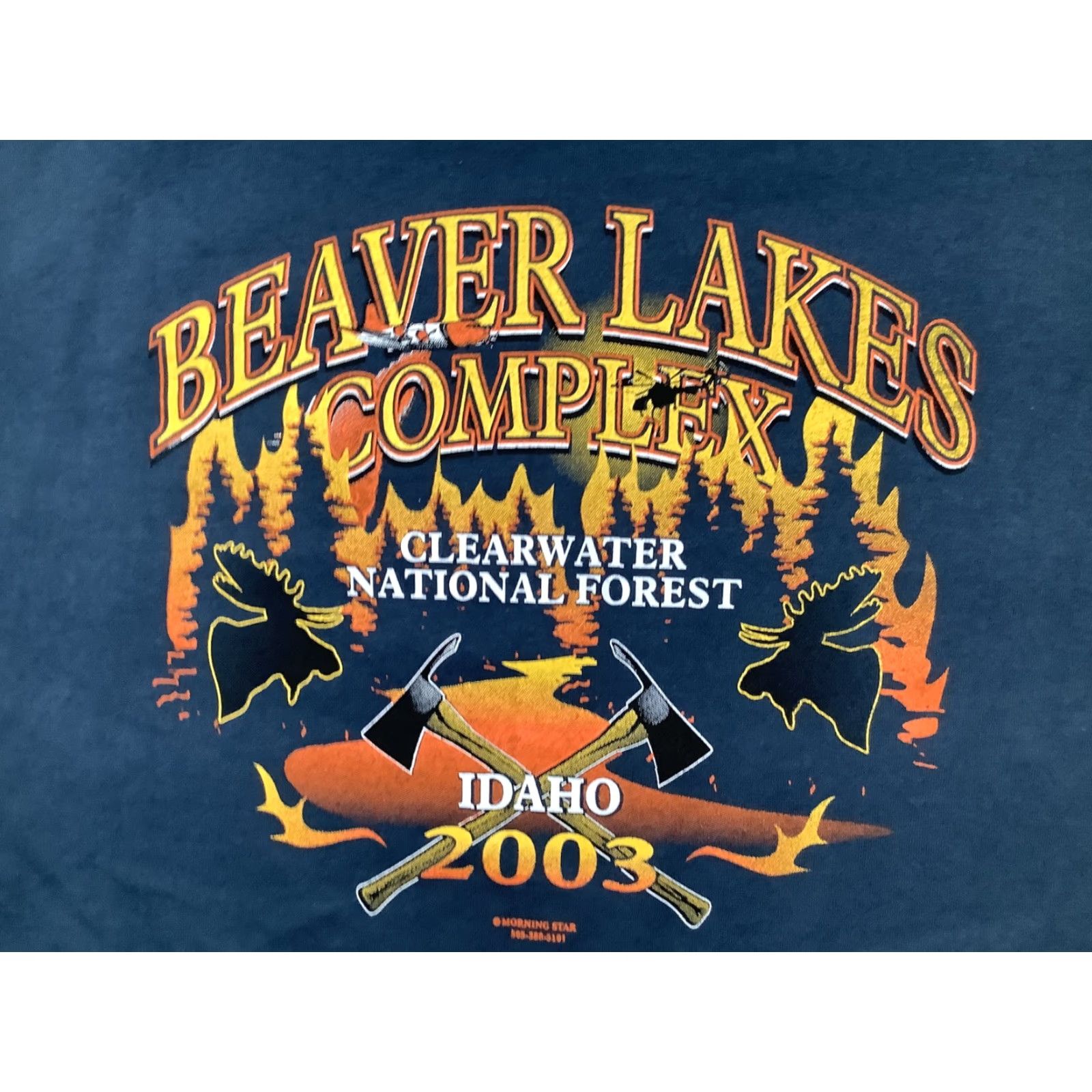 Anvil VINTAGE Beaver Lakes Complex Shirt Mens XL Idaho 2003 Wildfire Clearwater 00s Shirt Mens XL Blue Idaho 2003 Wildfire Clearwater 00s Size US XL / EU 56 / 4 - 6 Thumbnail
