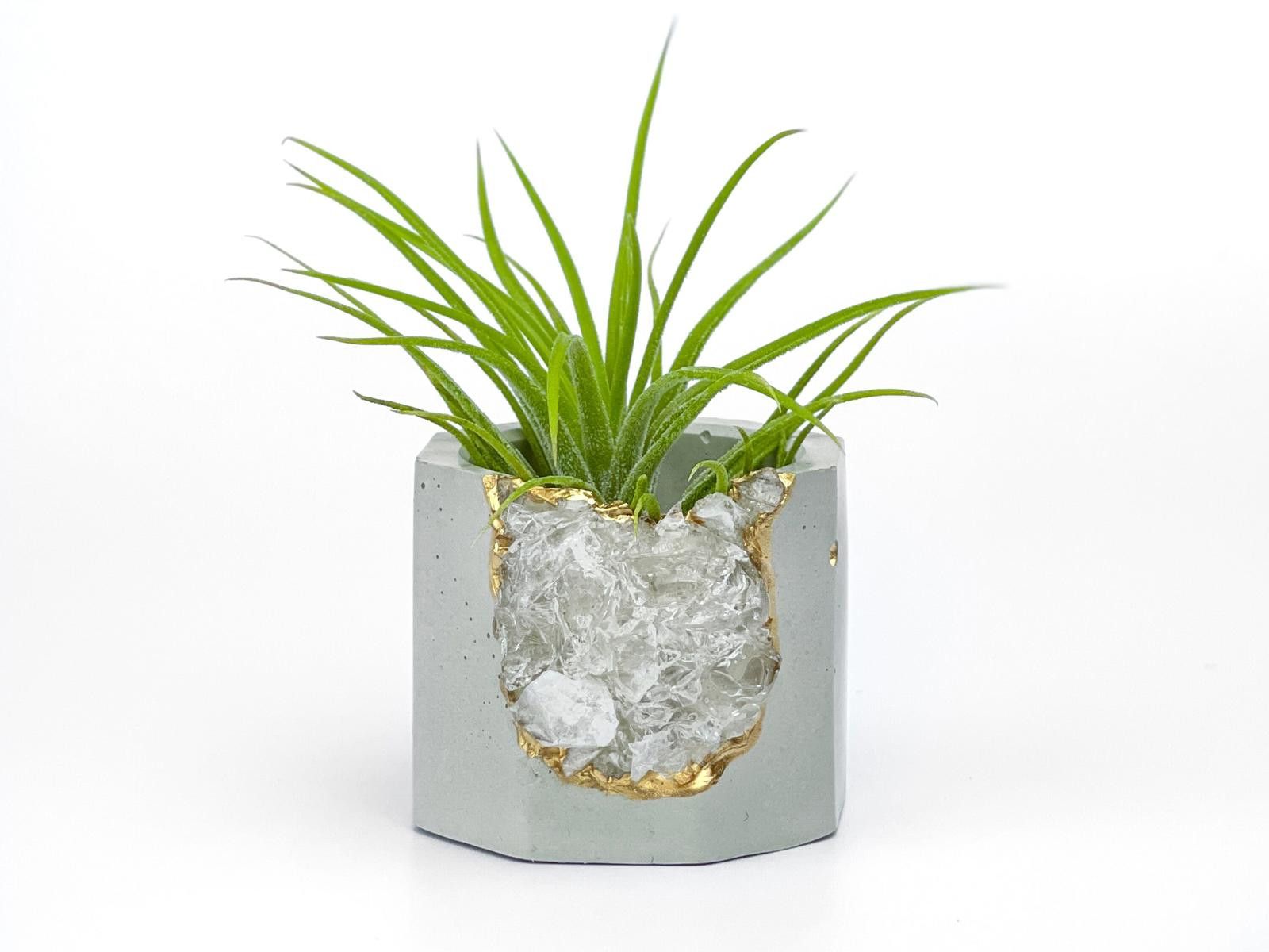 Other Raw Clear Quartz Crystal Planter Air Plant Holder Display Size ONE SIZE - 2 Thumbnail