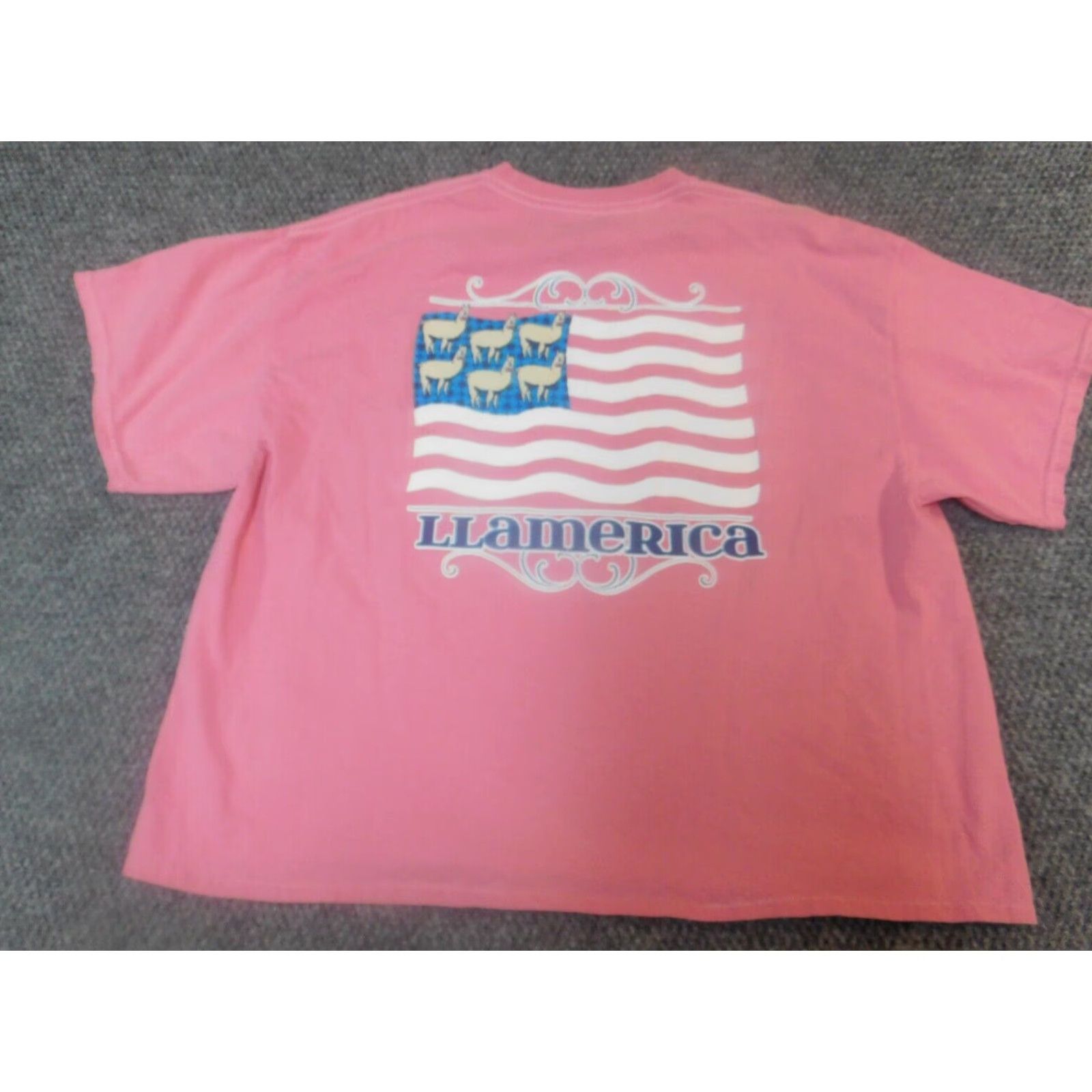 Vintage Benny & Belle Womens XL Pink Plaid T-Shirt Cap Sleeve Collared 100% Cotton Flannel Breathable Casual Modern Vintage: No Size XL / US 12-14 / IT 48-50 - 7 Thumbnail