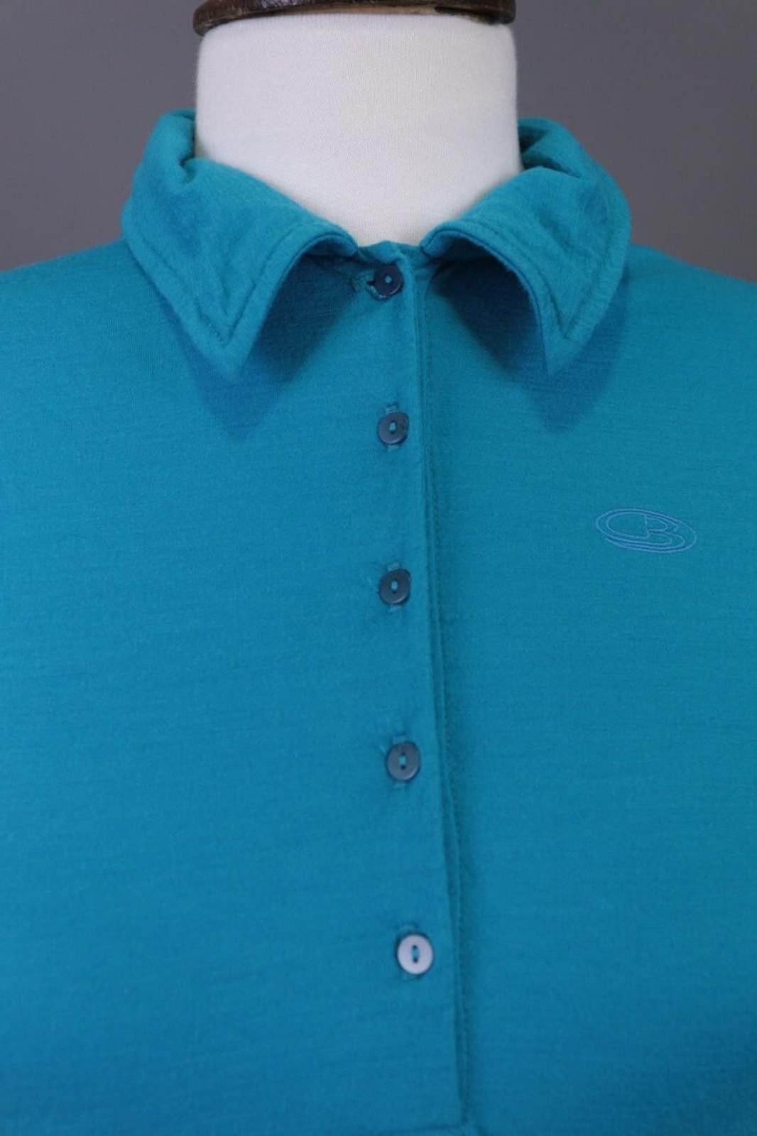 Icebreaker Icebreaker New Zeland Merino Wool T-Shirt Size M Size M / US 6-8 / IT 42-44 - 5 Thumbnail