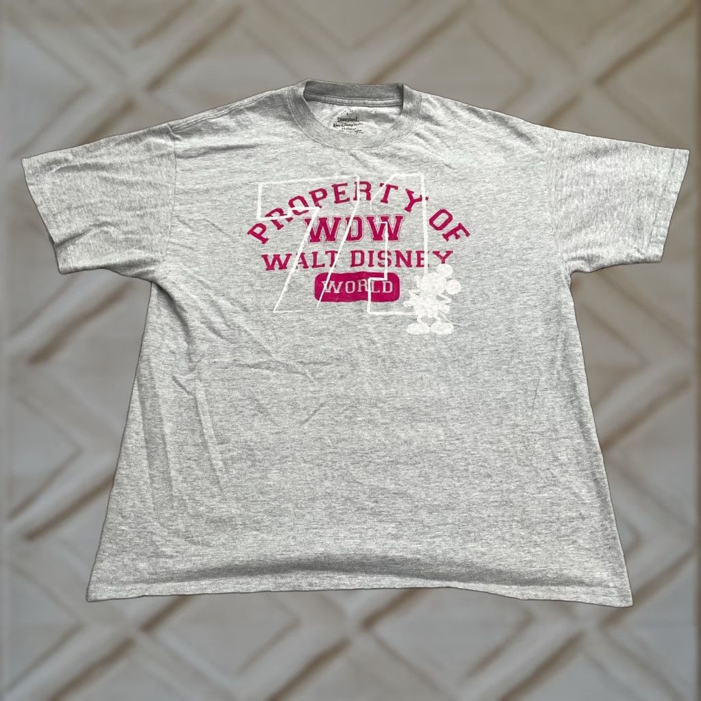 Hanes Disneyland Disney x Hanes Graphic T-Shirt Unisex Adult Large Gray Crew Neck Tee Size L / US 10 / IT 46 - 1 Thumbnail