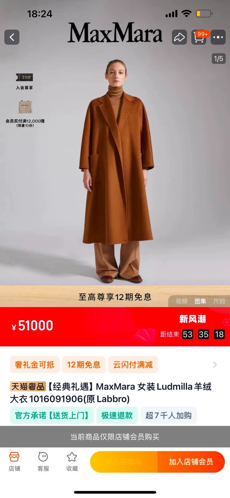 Max Mara Max Mara Coats Size S / US 4 / IT 40 - 3 Thumbnail