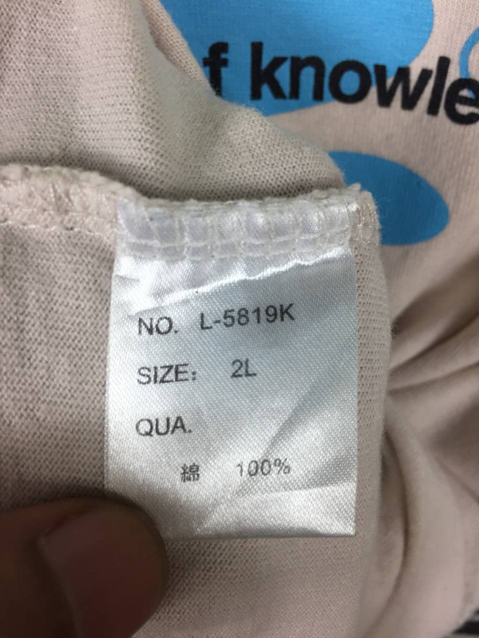 Japanese Brand × Vintage Pino Bazzo Achieve Full Domination Of Style Tee Size US XL / EU 56 / 4 - 8 Thumbnail