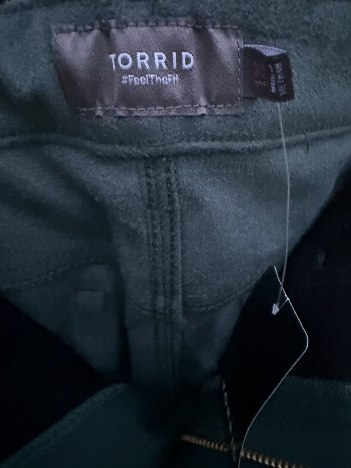 Torrid Torrid Green Faux Leather Pants High Rise Skinny Size 12 S Size 38" / US 16 / IT 52 - 5 Thumbnail