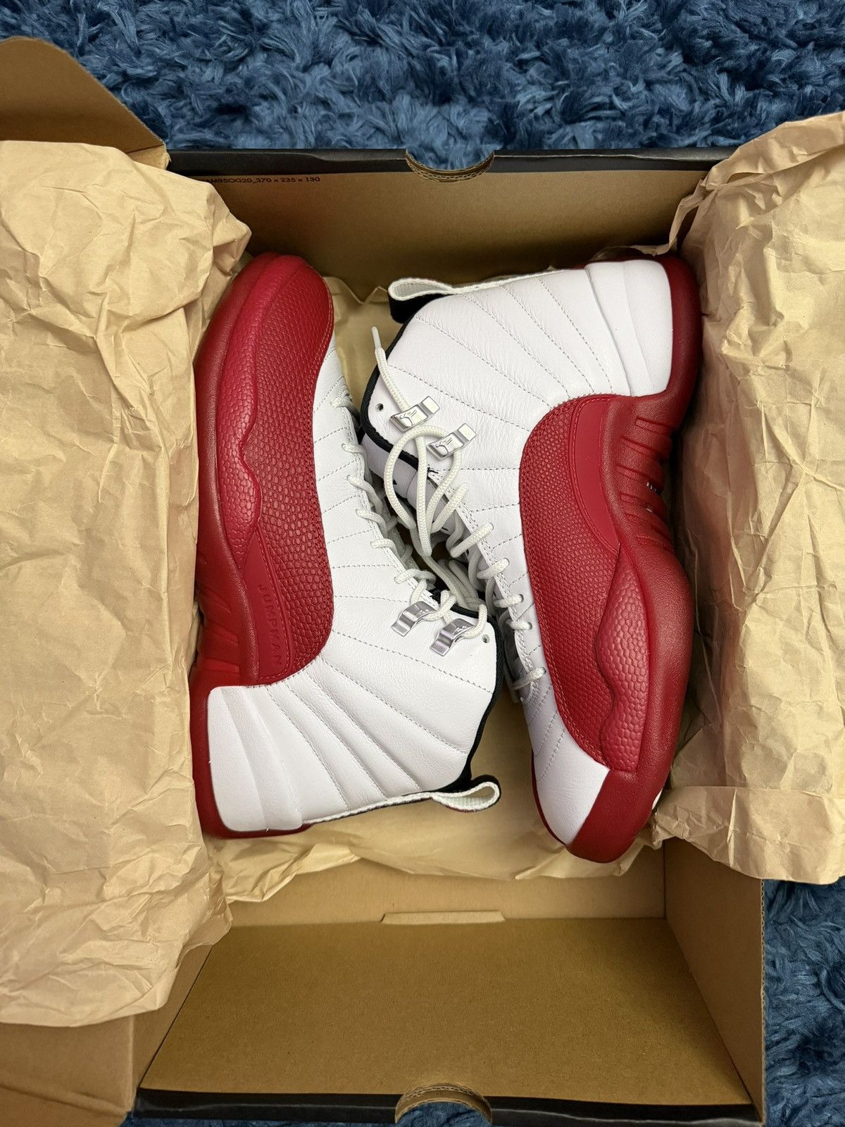 Jordan Cherry 12s