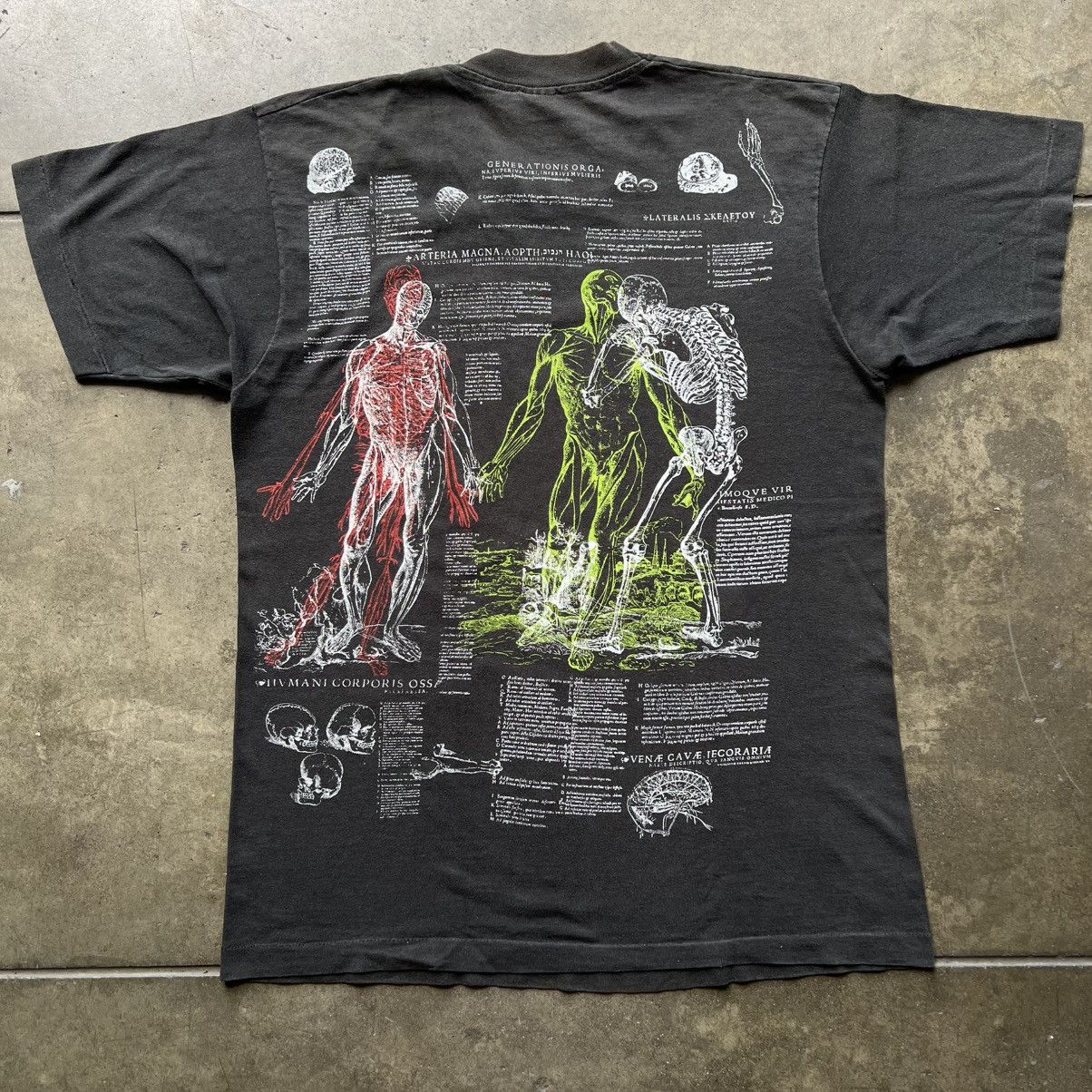 Fruit Of The Loom VTG ‘90s Andreas Vesalius Man Anatomy Art Tee Shirt Size US L / EU 52-54 / 3 - 2 Thumbnail