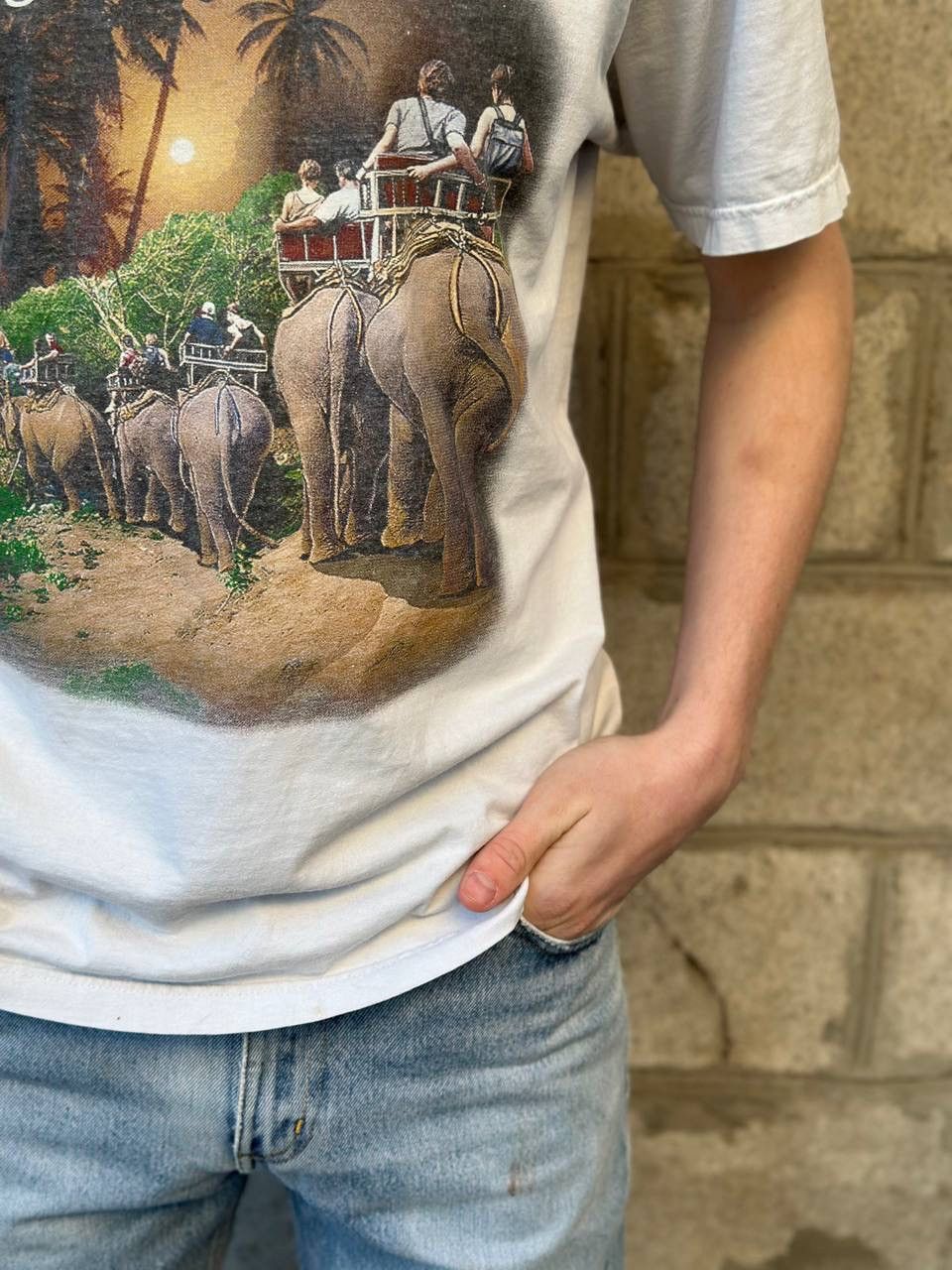 Grailed Vintage Thailand Jungle Tour Elephant Graphic T-Shirt Safari Size US M / EU 48-50 / 2 - 6 Thumbnail