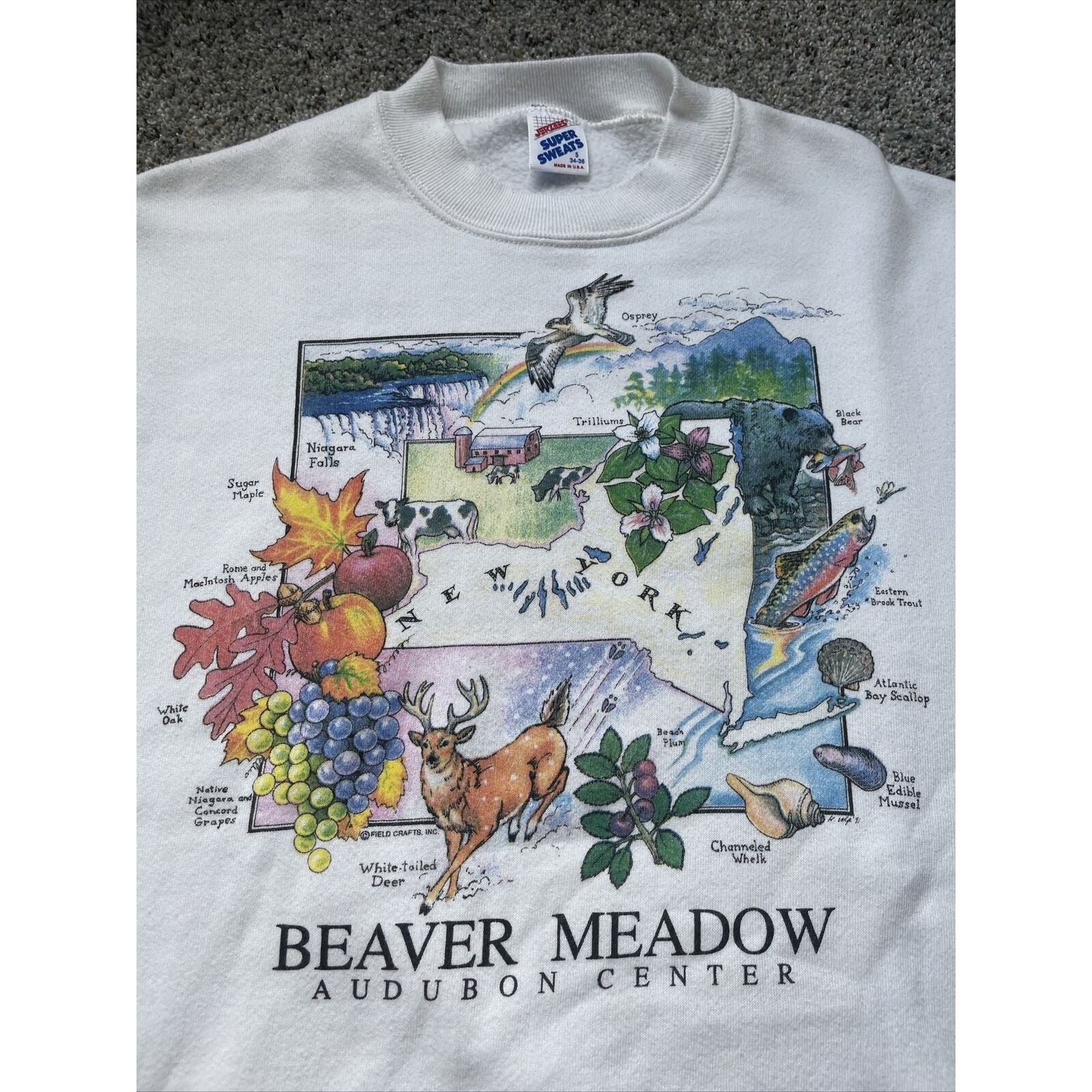 Jerzees Vintage 80s Small Beaver Meadow New York State Park Crewneck Size US S / EU 44-46 / 1 - 3 Thumbnail
