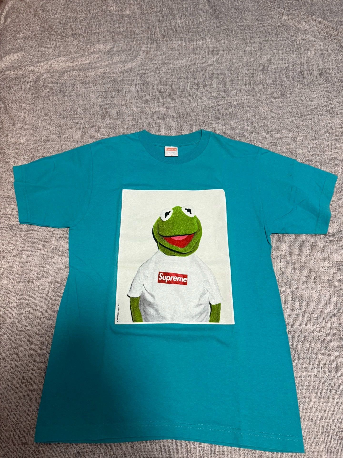 Supreme Supreme 2008 Kermit Photo Tee Teal M Size US M / EU 48-50 / 2 - 2 Thumbnail