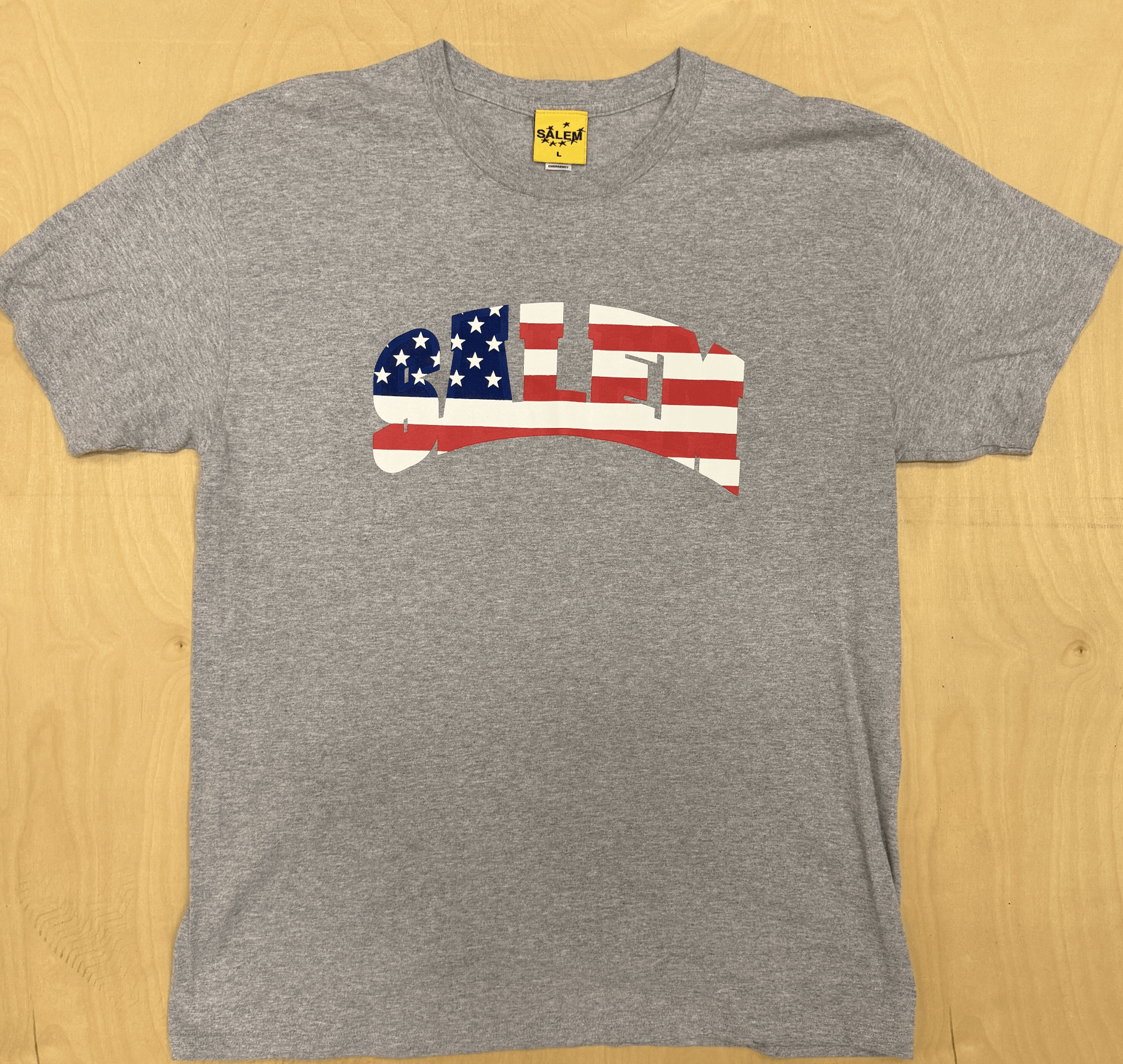 S4LEM Collegiate Tee USA Flag America