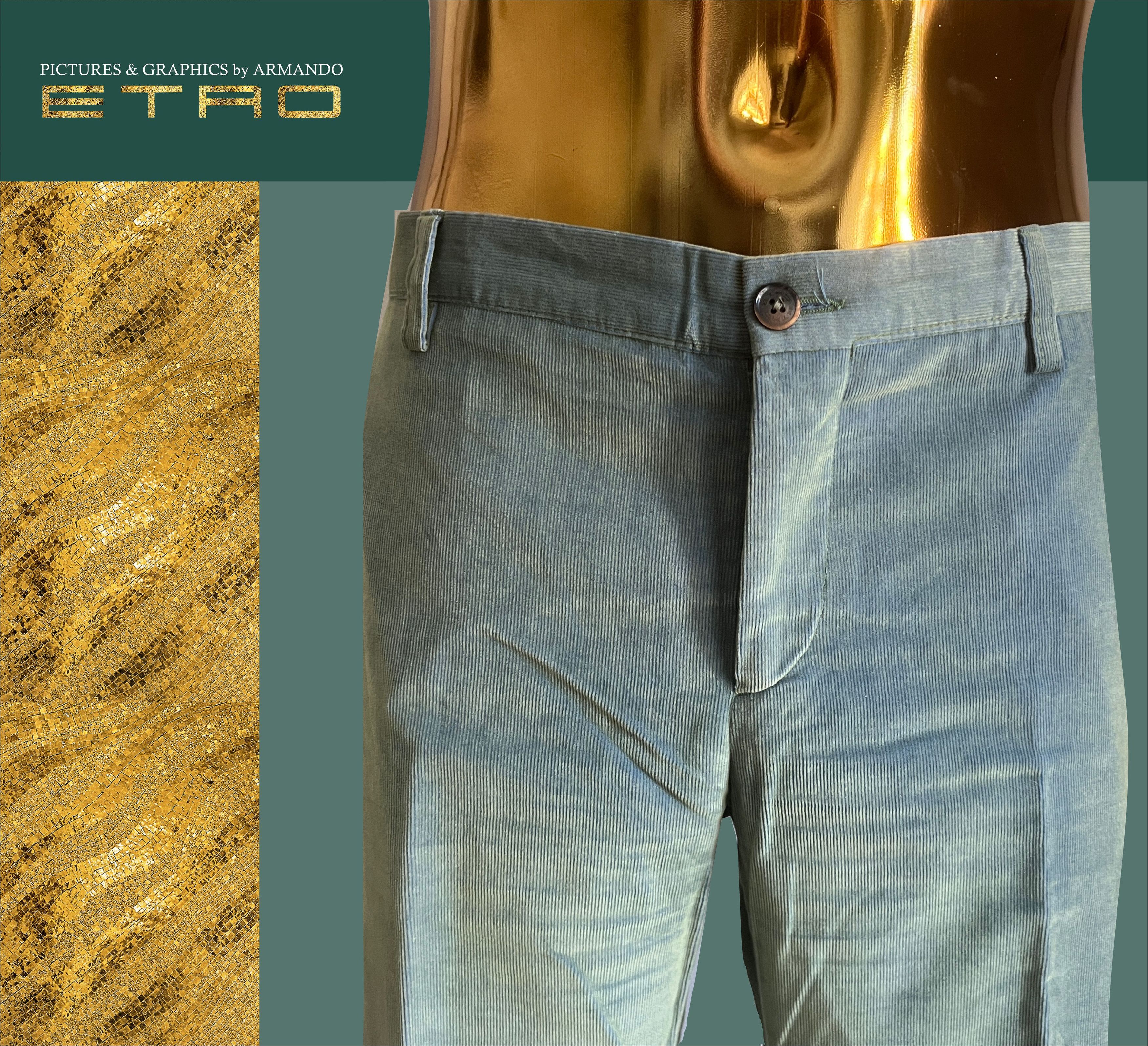 Etro Velvet pants Size US 36 / EU 52 - 4 Thumbnail