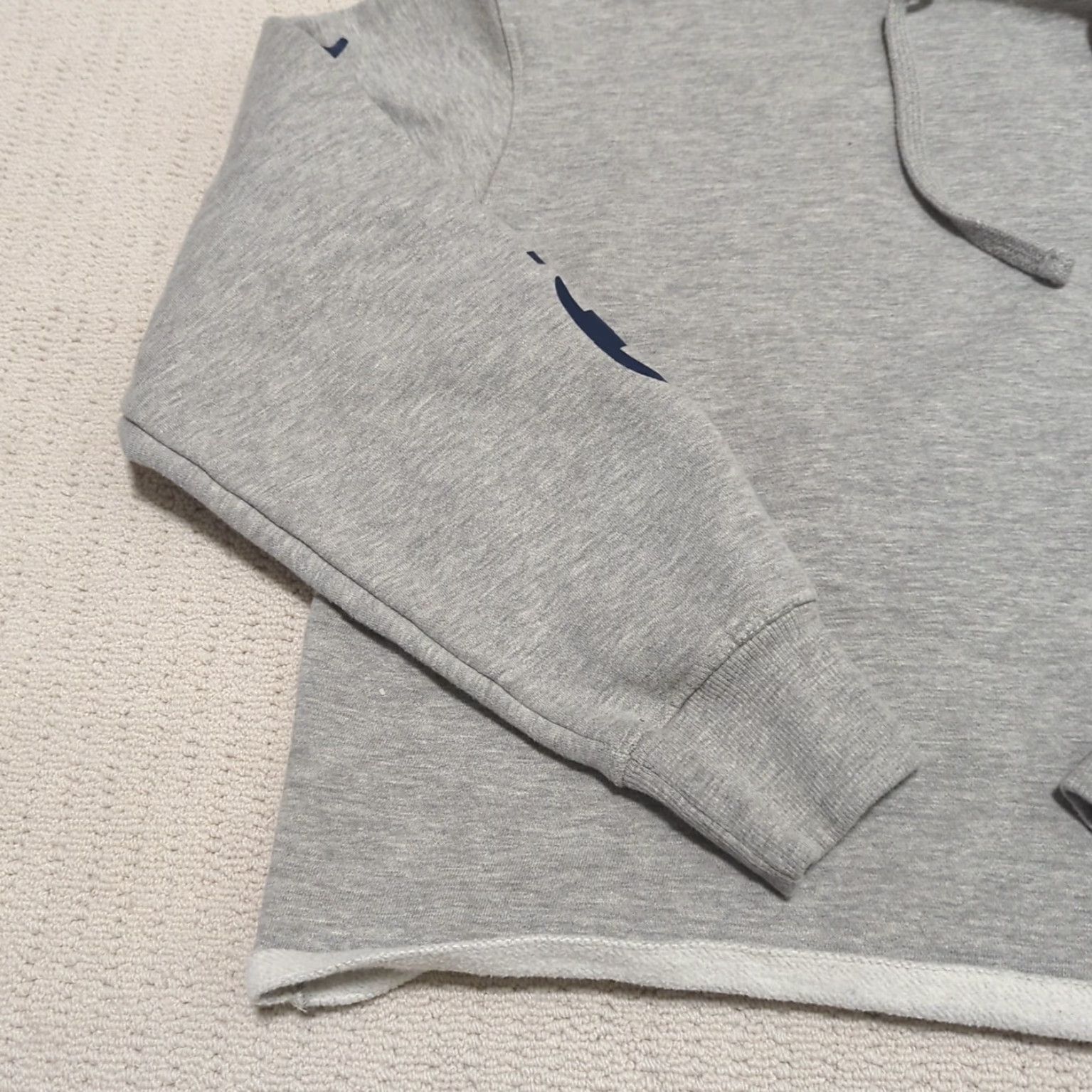 Champion Champion Hoodie Womens Large Gray Sweatshirt Pullover Knit Activewear Logo Embroidered Regular Cotton Size L / US 10 / IT 46 - 4 Thumbnail