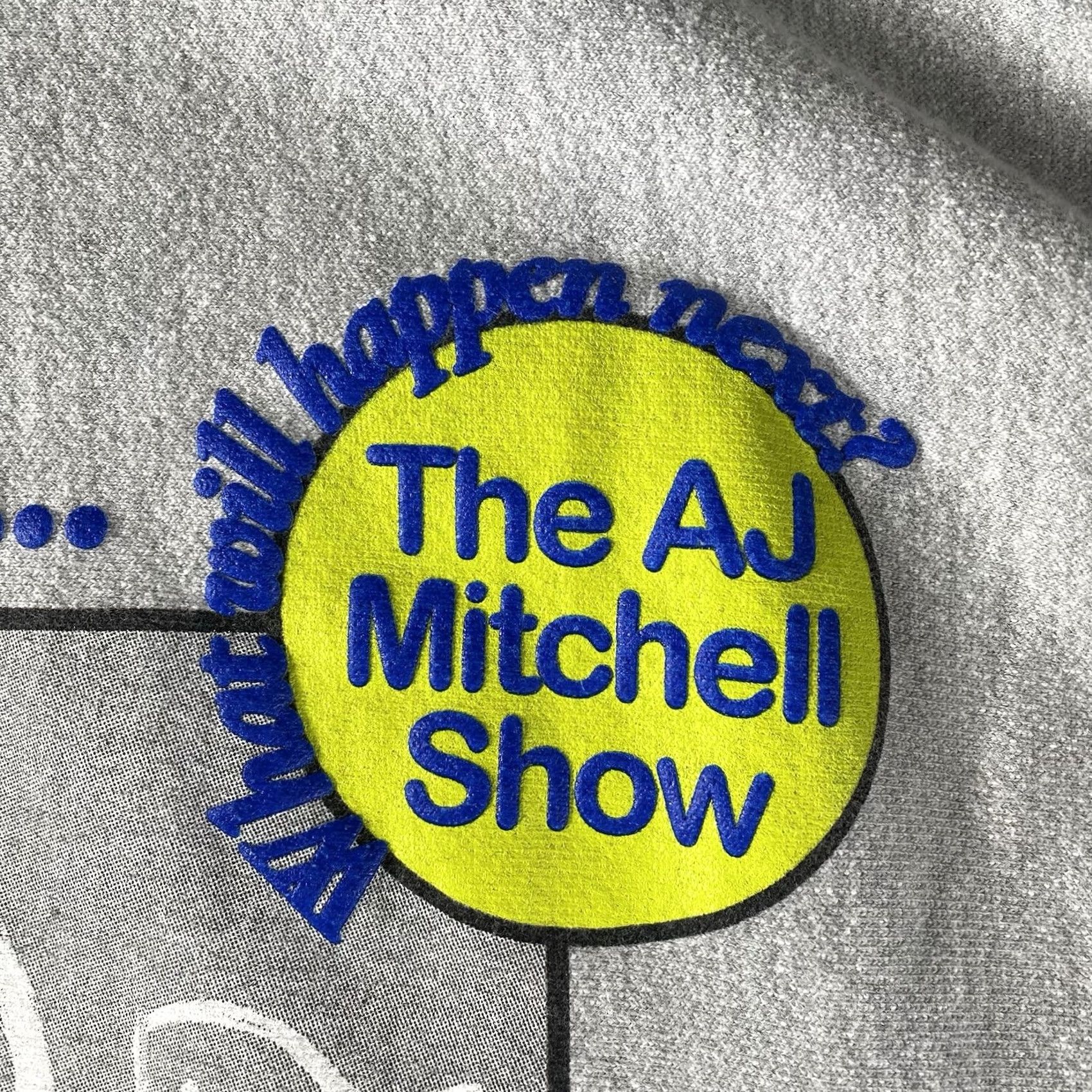Champion AJ Mitchell Pullover Sweatshirt Mens Large Gray Pop Music V1 TV RARE Size US L / EU 52-54 / 3 - 3 Thumbnail