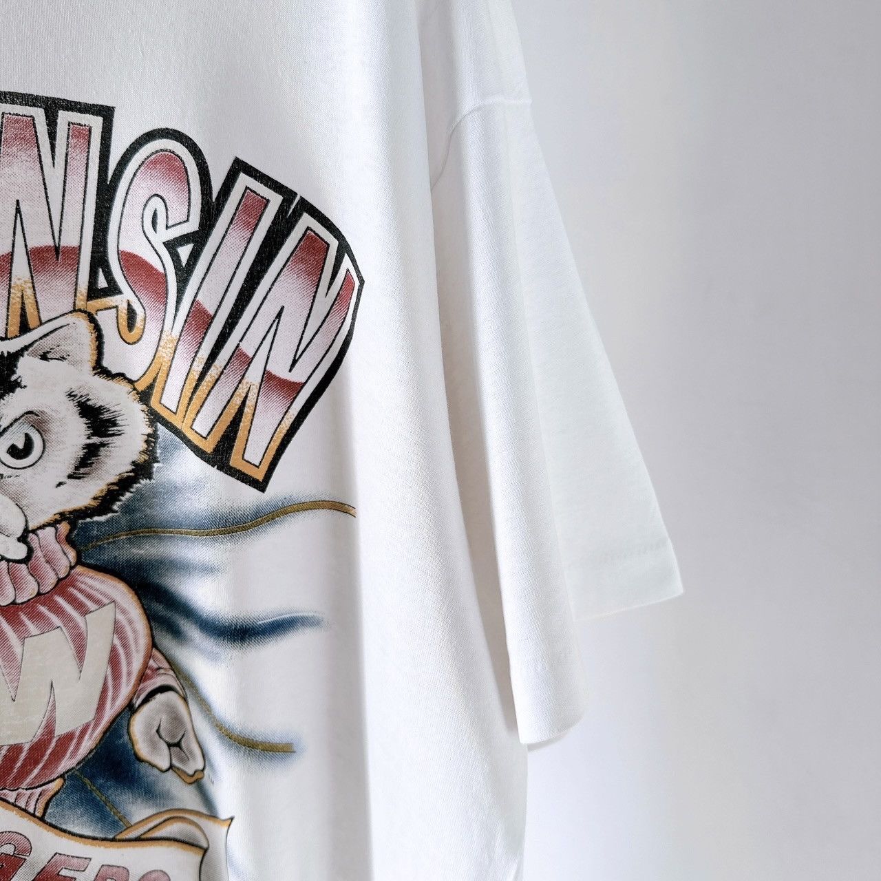 Vintage 90s Wisconsin Badgers t-shirt/ XL Size US XL / EU 56 / 4 - 7 Thumbnail