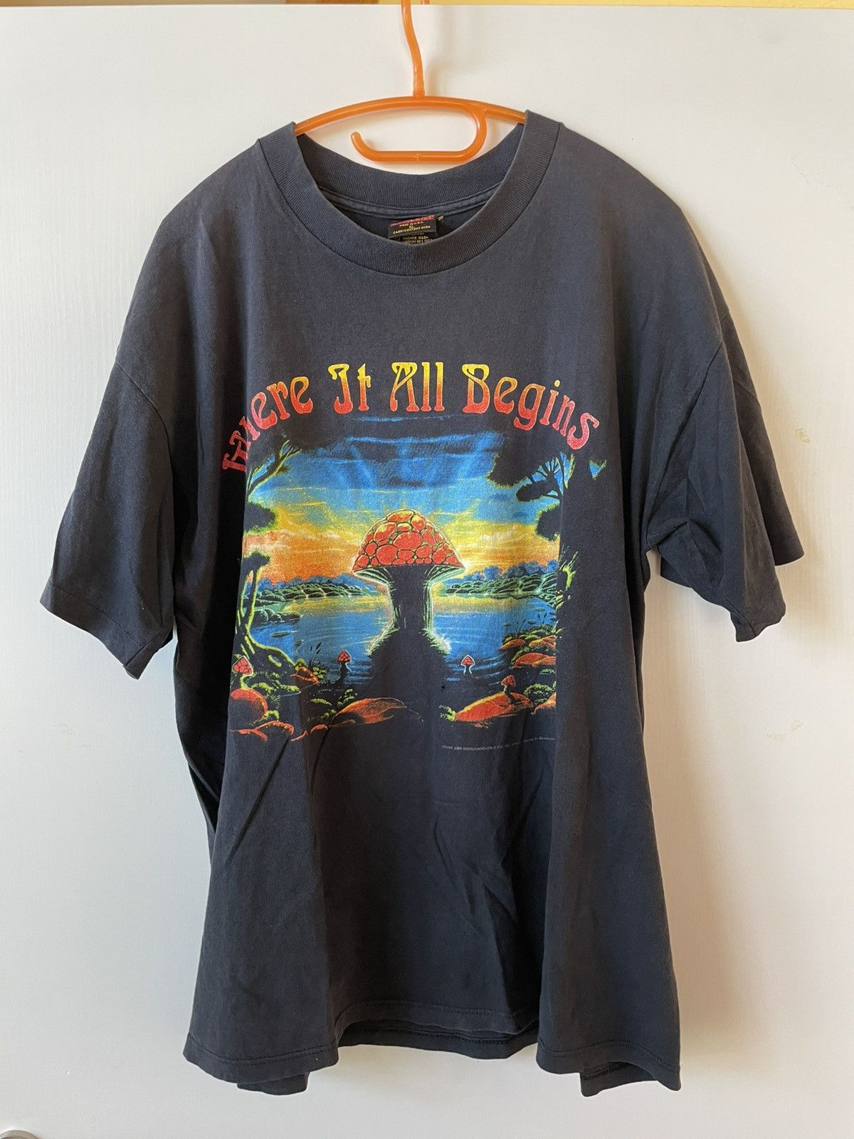Vintage Vintage 1994 the allman brothers band tee Size US XL / EU 56 / 4 - 1 Thumbnail