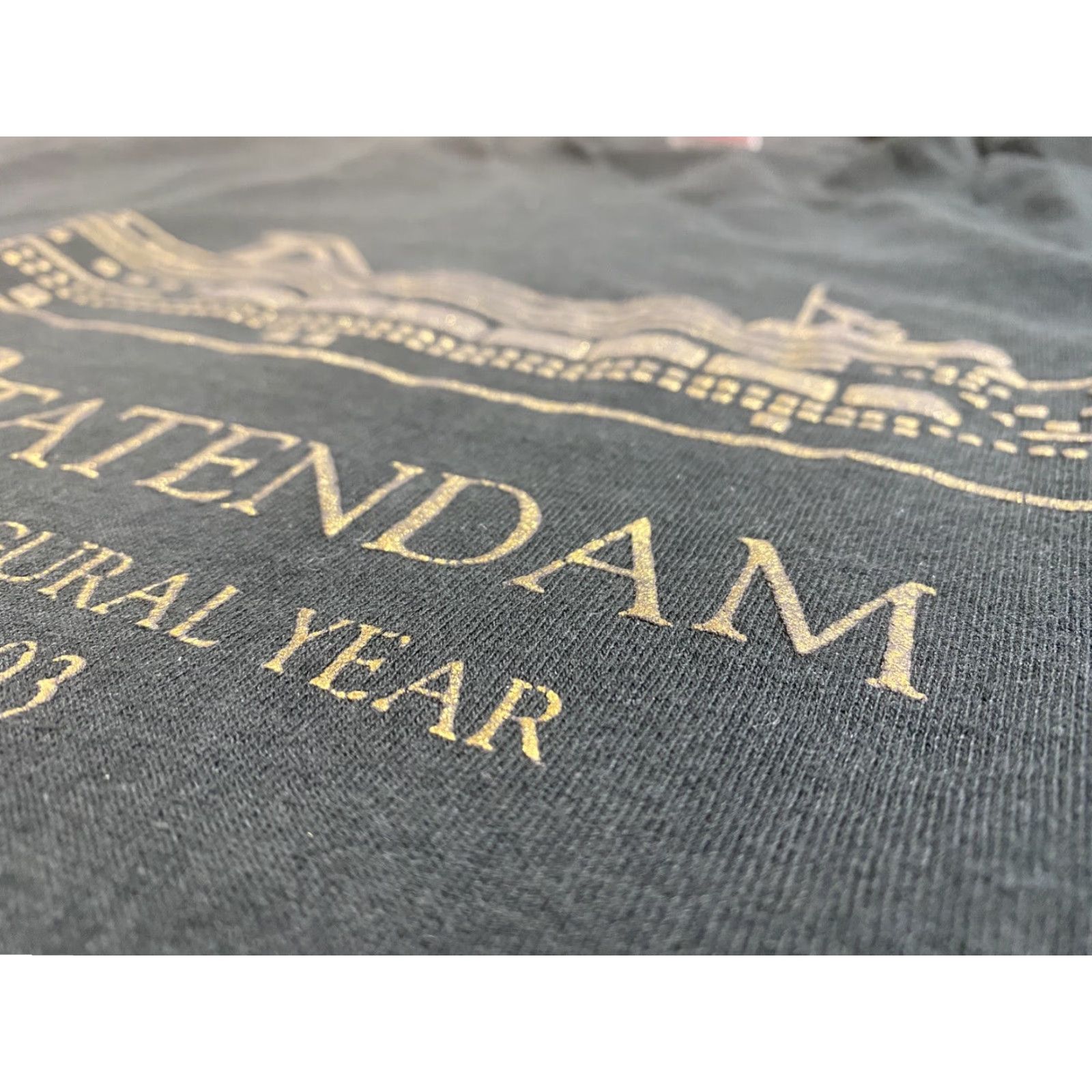 Fruit Of The Loom VINTAGE Statendam Inaugural Year 1993 Unisex Adult Vintage T-Shirt Fruit of the Loom Made in USA Sz L Black 90s Cruise ship Shirt Mens Size US L / EU 52-54 / 3 - 6 Thumbnail
