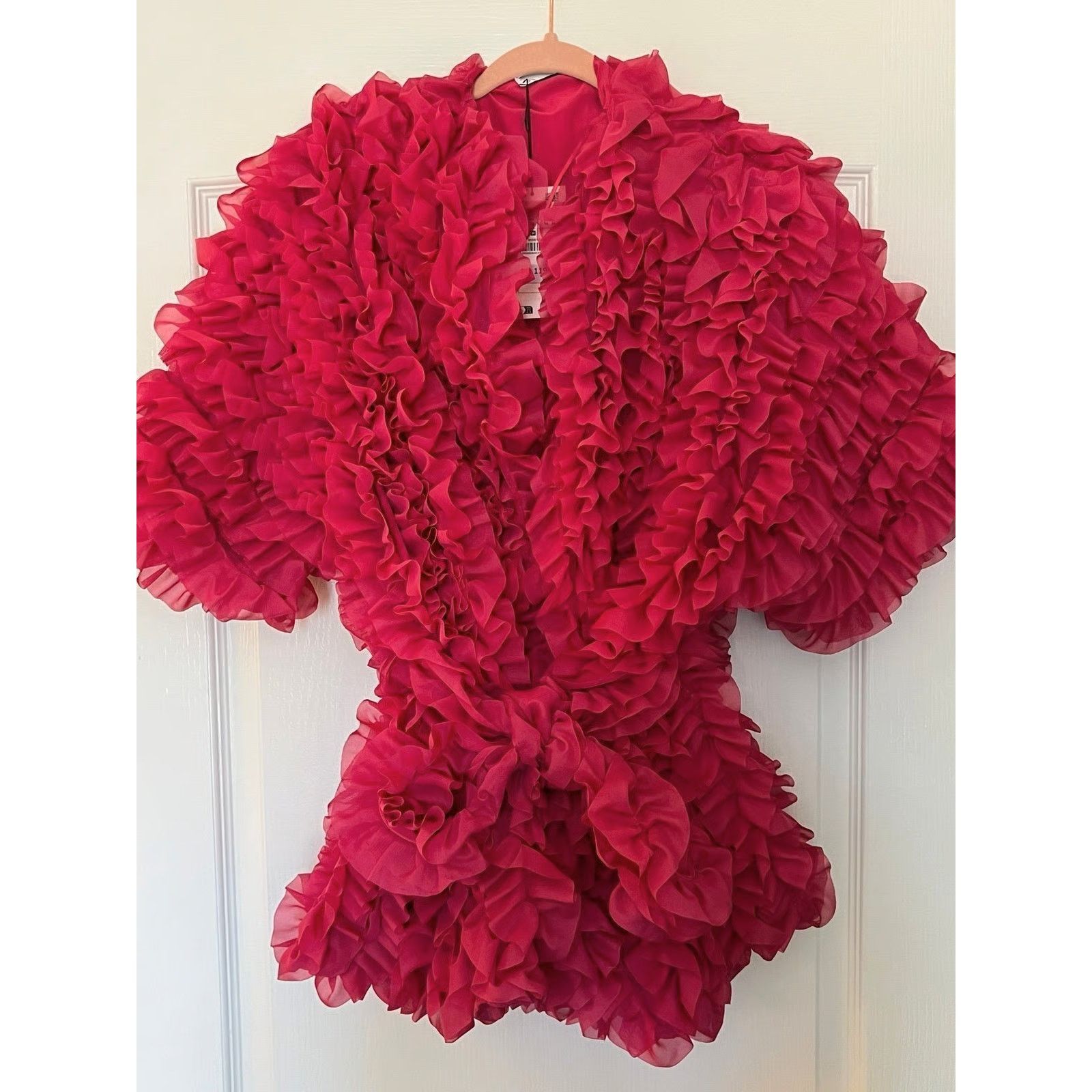 Zara ZARA Textured Statement Coat NWT Couture Barbiecore Jacket Size M / US 6-8 / IT 42-44 - 24 Thumbnail