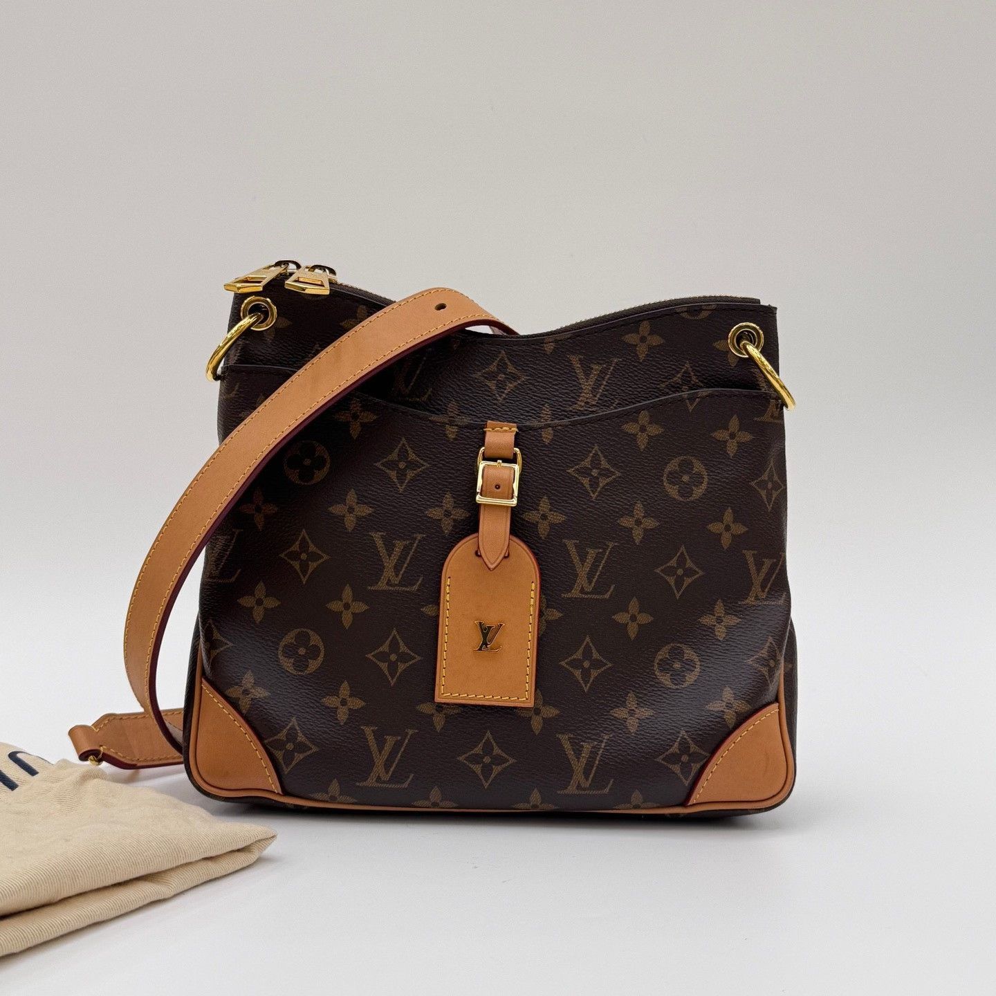 Louis Vuitton Pre-loved Bag Very good condition Size ONE SIZE - 1 Thumbnail