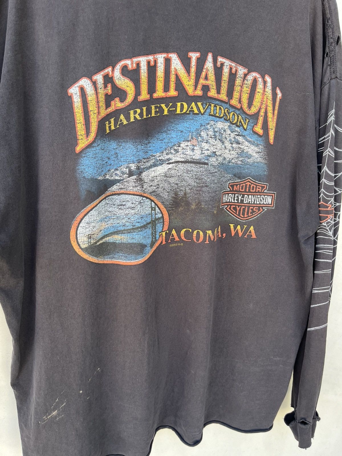 Harley Davidson Vintage Faded Harley Davidson Spider Longsleeve Size XL Size US XL / EU 56 / 4 - 7 Thumbnail