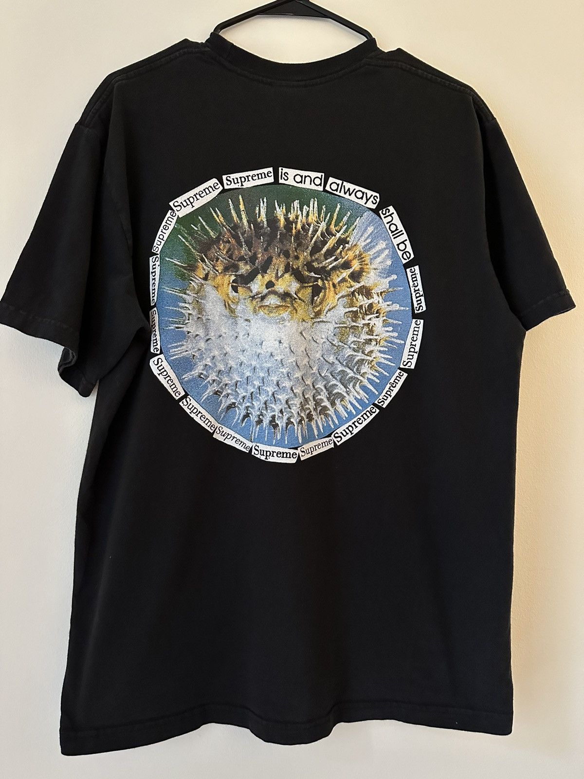Supreme Supreme Blowfish Tee Size US L / EU 52-54 / 3 - 1 Thumbnail